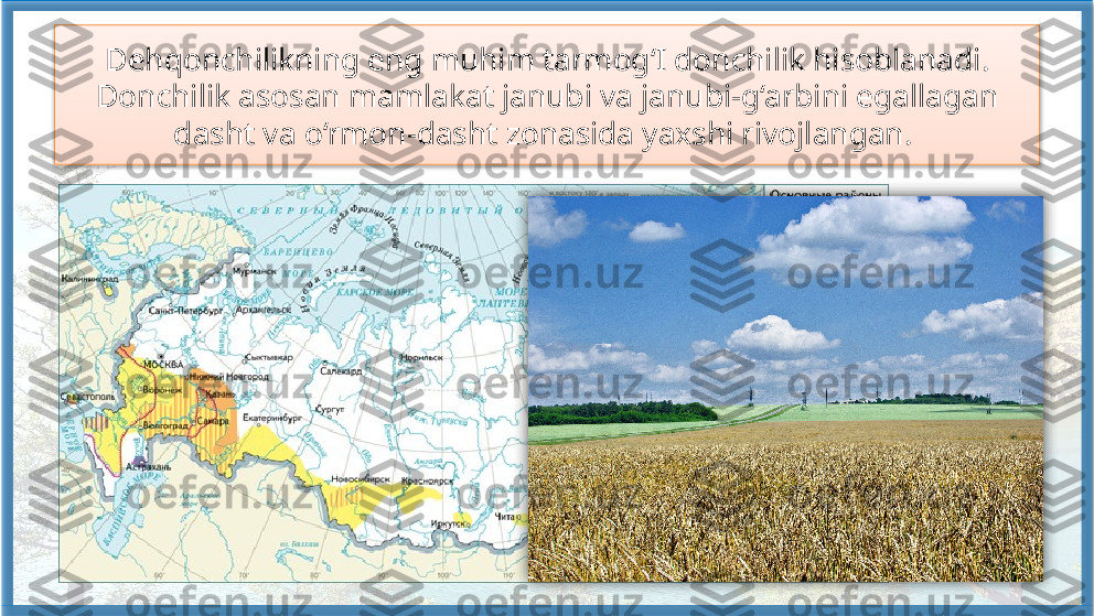 Dehqonchilikning eng muhim tarmog‘I donchilik hisoblanadi. 
Donchilik asosan mamlakat janubi va janubi-g‘arbini egallagan
dasht va o‘rmon-dasht zonasida yaxshi rivojlangan.     