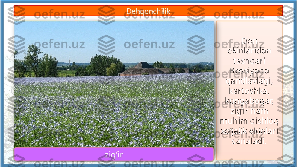 Don 
ekinlaridan 
tashqari 
Rossiyada 
qandlavlagi, 
kartoshka,
kungaboqar, 
zig‘ir ham 
muhim qishloq 
xo‘jalik ekinlari 
sanaladi.
qandlavlagi Dehqonchilik
kartoshka
kungaboqar
zig‘ir        