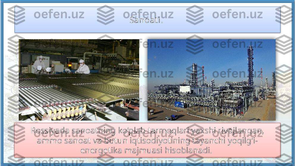 Sanoat i. 
Rossiyada sanoatning ko‘plab tarmoqlari yaxshi rivojlangan, 
ammo sanoat va butun iqtisodiyotining tayanchi yoqilg‘i-
energetika majmuasi hisoblanadi.      