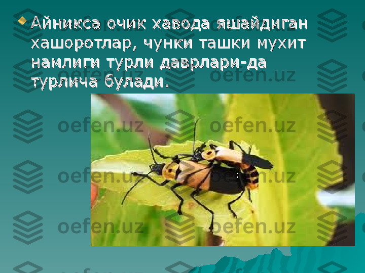 
Айникса очик хавода яшайдиган Айникса очик хавода яшайдиган 
хашоротлар, чунки ташки мухит хашоротлар, чунки ташки мухит 
намлиги турли даврлари-да намлиги турли даврлари-да 
турлича булади. турлича булади.  