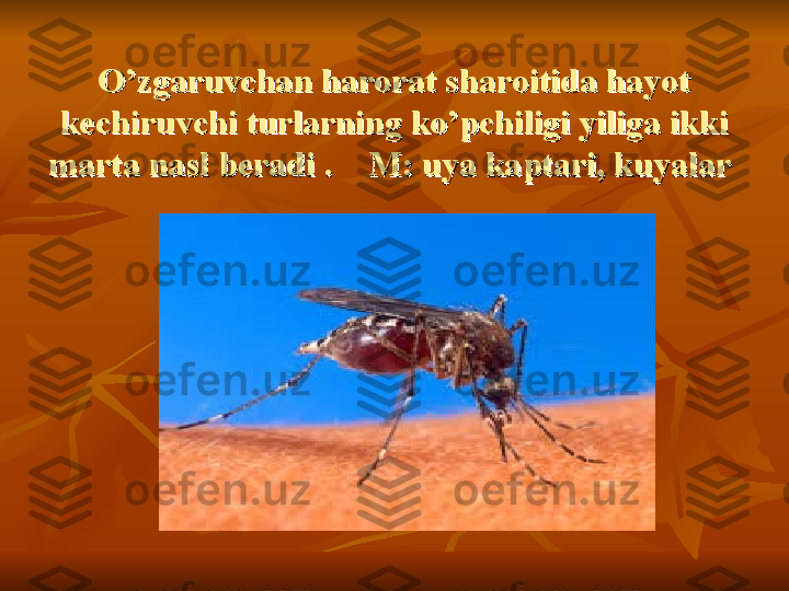 O’zgaruvchan harorat sharoitida hayot O’zgaruvchan harorat sharoitida hayot 
kechiruvchi turlarning ko’pchiligi yiliga ikki kechiruvchi turlarning ko’pchiligi yiliga ikki 
marta nasl beradi .    M: uya kaptari, kuyalar marta nasl beradi .    M: uya kaptari, kuyalar  