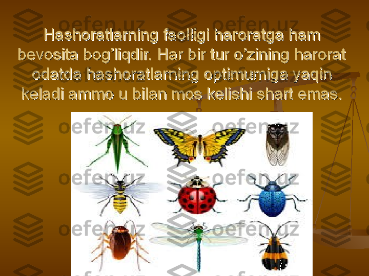 Hashoratlarning faolligi haroratga ham Hashoratlarning faolligi haroratga ham 
bevosita bog’liqdir. Har bir tur o’zining harorat bevosita bog’liqdir. Har bir tur o’zining harorat 
odatda hashoratlarning optimumiga yaqin odatda hashoratlarning optimumiga yaqin 
keladi ammo u bilan mos kelishi shart emas.keladi ammo u bilan mos kelishi shart emas. 