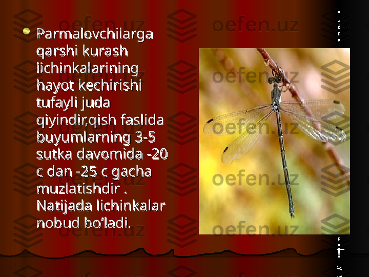 
Parmalovchilarga Parmalovchilarga 
qarshi kurash qarshi kurash 
lichinkalarining lichinkalarining 
hayot kechirishi hayot kechirishi 
tufayli juda tufayli juda 
qiyindir,qish faslida qiyindir,qish faslida 
buyumlarning 3-5 buyumlarning 3-5 
sutka davomida -20 sutka davomida -20 
c dan -25 c gacha c dan -25 c gacha 
muzlatishdir . muzlatishdir . 
Natijada lichinkalar Natijada lichinkalar 
nobud bo’ladi. nobud bo’ladi.   