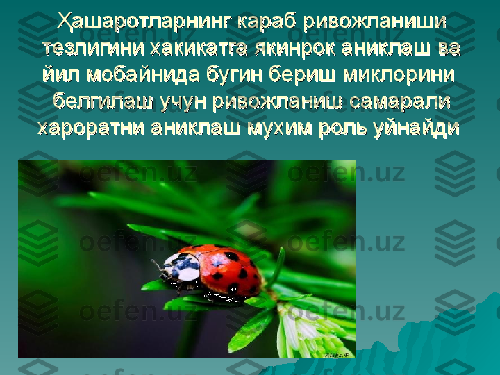 Ҳашаротларнинг караб ривожланиши Ҳашаротларнинг караб ривожланиши 
тезлигини хакикатга якинрок аниклаш ва тезлигини хакикатга якинрок аниклаш ва 
йил мобайнида бугин бериш миклорини  йил мобайнида бугин бериш миклорини  
белгилаш учун ривожланиш самарали белгилаш учун ривожланиш самарали 
хароратни аниклаш мухим роль уйнайди хароратни аниклаш мухим роль уйнайди  