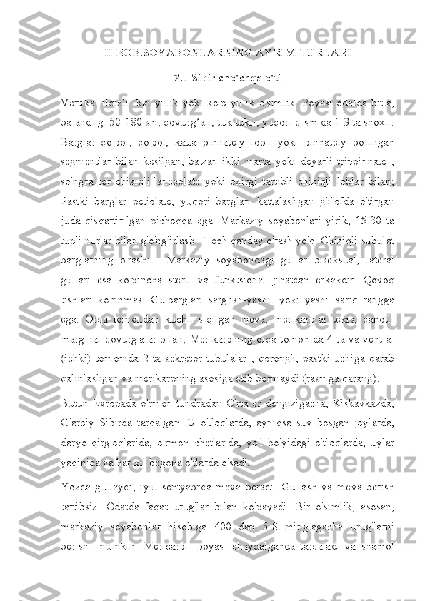 II BOB.SOYABONLARNING AYRIM TURLARI
2.1 Sibir cho'chqa o'ti
Vertikal   ildizli   ikki   yillik   yoki   ko'p   yillik   o'simlik.   Poyasi   odatda   bitta,
balandligi 50-180 sm, qovurg ali, tuk-tukli, yuqori qismida 1-3 ta shoxli.ʻ
Barglar   qo'pol,   qo'pol,   katta   pinnately   lobli   yoki   pinnately   bo'lingan
segmentlar   bilan   kesilgan,   ba'zan   ikki   marta   yoki   deyarli   trippinnate   ,
so'ngra   tor   chiziqli-lanceolate   yoki   oxirgi   tartibli   chiziqli   loblar   bilan;
Pastki   barglar   petiolate,   yuqori   barglari   kattalashgan   g'ilofda   o'tirgan
juda   qisqartirilgan   pichoqqa   ega.   Markaziy   soyabonlari   yirik,   15-30   ta
tupli nurlar bilan g'o'ng'irlash . Hech qanday o'rash yo'q. Chiziqli-subulat
barglarning   o'rashi   .   Markaziy   soyabondagi   gullar   biseksual,   lateral
gullari   esa   ko'pincha   steril   va   funktsional   jihatdan   erkakdir.   Qovoq
tishlari   ko'rinmas.   Gulbarglari   sarg'ish-yashil   yoki   yashil-sariq   rangga
ega.   Orqa   tomondan   kuchli   siqilgan   meva;   merikarplar   tekis,   qanotli
marginal qovurg'alar bilan; Merikarpning orqa tomonida 4 ta va ventral
(ichki)   tomonida   2   ta   sekretor   tubulalar   ,   qorong'i,   pastki   uchiga   qarab
qalinlashgan va merikarpning asosiga etib bormaydi (rasmga qarang).
Butun  Evropada   o'rmon-tundradan   O'rta   er   dengizigacha,   Kiskavkazda,
G'arbiy   Sibirda   tarqalgan.   U   o'tloqlarda,   ayniqsa   suv   bosgan   joylarda,
daryo   qirg'oqlarida,   o'rmon   chetlarida,   yo'l   bo'yidagi   o'tloqlarda,   uylar
yaqinida va har xil begona o'tlarda o'sadi.
Yozda   gullaydi,   iyul-sentyabrda   meva   beradi.   Gullash   va   meva   berish
tartibsiz.   Odatda   faqat   urug'lar   bilan   ko'payadi.   Bir   o'simlik,   asosan,
markaziy   soyabonlar   hisobiga   400   dan   5-8   mingtagacha   urug'larni
berishi   mumkin.   Mericarpii   poyasi   chayqalganda   tarqaladi   va   shamol 