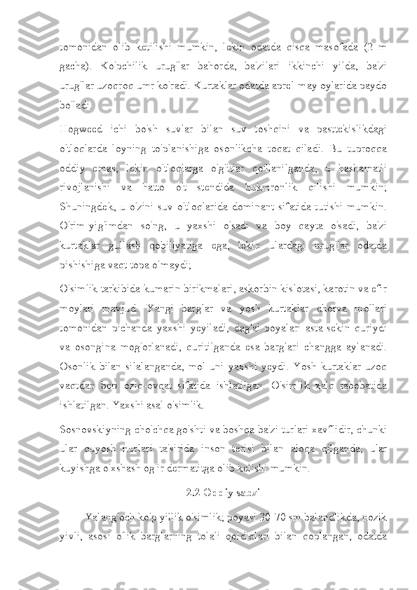 tomonidan   olib   ketilishi   mumkin,   lekin   odatda   qisqa   masofada   (2   m
gacha).   Ko'pchilik   urug'lar   bahorda,   ba'zilari   ikkinchi   yilda,   ba'zi
urug'lar uzoqroq umr ko'radi. Kurtaklar odatda aprel-may oylarida paydo
bo'ladi.
Hogweed   ichi   bo'sh   suvlar   bilan   suv   toshqini   va   pasttekislikdagi
o'tloqlarda   loyning   to'planishiga   osonlikcha   toqat   qiladi.   Bu   tuproqqa
oddiy   emas,   lekin   o'tloqlarga   o'g'itlar   qo'llanilganda,   u   hashamatli
rivojlanishi   va   hatto   o't   stendida   hukmronlik   qilishi   mumkin;
Shuningdek,  u o'zini  suv  o'tloqlarida  dominant  sifatida  tutishi   mumkin.
O'rim-yig'imdan   so'ng,   u   yaxshi   o'sadi   va   boy   qayta   o'sadi,   ba'zi
kurtaklar   gullash   qobiliyatiga   ega,   lekin   ulardagi   urug'lar   odatda
pishishiga vaqt topa olmaydi;
O'simlik tarkibida kumarin birikmalari, askorbin kislotasi, karotin va efir
moylari   mavjud.   Yangi   barglar   va   yosh   kurtaklar   chorva   mollari
tomonidan   pichanda   yaxshi   yeyiladi,   dag'al   poyalari   asta-sekin   quriydi
va   osongina   mog'orlanadi,   quritilganda   esa   barglari   changga   aylanadi.
Osonlik   bilan   silalanganda,   mol   uni   yaxshi   yeydi.   Yosh   kurtaklar   uzoq
vaqtdan   beri   oziq-ovqat   sifatida   ishlatilgan.   O'simlik   xalq   tabobatida
ishlatilgan. Yaxshi asal o'simlik.
Sosnovskiyning cho'chqa go'shti va boshqa ba'zi turlari xavflidir, chunki
ular   quyosh   nurlari   ta'sirida   inson   terisi   bilan   aloqa   qilganda,   ular
kuyishga o'xshash og'ir dermatitga olib kelishi mumkin.
2.2 Oddiy sabzi
Yalang'och ko'p yillik o'simlik; poyasi 30-70 sm balandlikda, nozik
yivli,   asosi   o'lik   barglarning   tolali   qoldiqlari   bilan   qoplangan,   odatda 