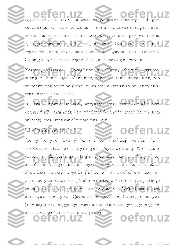 tugunlarida   biroz   kavisli,   o'rtadan   va   yuqoridan   shoxlangan.   Barglari
konturda uchburchak shaklida, uch marta pinnat tarzda ajratilgan , o'tkir
chiziqli   terminal   loblari   bilan,   ustkilari   juda   qisqargan   va   kamroq
ajratilgan.   Soyabonlar   5-25   nurli,   o'ramsiz.   Ko'p   sonli   chiziqsimon-
nayzasimon   varaqlardan   iborat   involucres   .   Qovoq   tishlari   ko'rinmas.
Gulbarglari yashil-sariq rangda. O'tkir, o'tkir qovurg'ali mevalar .
Yevropa,   Kiskavkaz,   Qozog iston   va   G arbiy   Sibirning   janubidaʻ ʻ
tarqalgan.   Sho rlangan   o tloqlarda,   sho r   va   sho r   botqoqlarda,   suv	
ʻ ʻ ʻ ʻ
omborlari qirg oqlari bo ylab nam joylarda o sadi va ko pincha to da va
ʻ ʻ ʻ ʻ ʻ
chakalakzorlar hosil qiladi.
Iyul-avgust   oylarida   gullaydi,   sentyabrda   meva   beradi.   Urug'lar   bilan
ko'paytiriladi.   Barglarida   ko'p   miqdorda   S   vitamini   (hech   bo'lmaganda
bahorda), mevalarda esa efir moyi mavjud[6].
2.3 Zira ( karum   carvi L.)
Ikki   yillik   yoki   ko'p   yillik,   shpindel   shaklidagi   vertikal   ildizli
monokarpik . Butun o'simlik yalang'och. Poyasi balandligi 70 sm gacha,
yuqori qismida shoxlangan. Barglari cho'zinchoq konturli, ikki yoki uch
pinnatsimon kesilgan , chiziqli-nayzasimon yoki chiziqli terminal loblari
bilan;  bazal  va  pastki   poya  barglari   poyasimon,   ustkilari  o‘simtasimon,
qirrasi bo‘ylab pardasimon g‘iloflar va pastki bo‘laklarning barg asosiga
qarab   siljishi   natijasida   go‘yo   pinnatsimon   stipulyali.   Hech   qanday
o'rash   yoki   o'rash   yo'q   .   Qovoq   tishlari   ko'rinmas.   Gulbarglari   oq   yoki
(kamroq) pushti rangga ega. Meva bir oz lateral siqilgan, jigarrang, har
bir merikarpda 5 ta filiform qovurg'a bilan . 