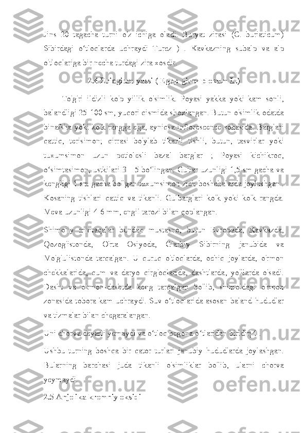 Jins   20   tagacha   turni   o'z   ichiga   oladi.   Buryat   zirasi   (C.   buriaticum)
Sibirdagi   o tloqlarda   uchraydi   Turcz   )   .  ʻ Kavkazning   subalp   va   alp
o'tloqlariga bir necha turdagi zira xosdir.
2.4 Eringium yassi ( Egup-gium   plenum L.)
To'g'ri   ildizli   ko'p   yillik   o'simlik.   Poyasi   yakka   yoki   kam   sonli,
balandligi 25-100 sm, yuqori qismida shoxlangan. Butun o'simlik odatda
binafsha yoki ko'k rangga ega, ayniqsa inflorescence sohasida. Barglari
qattiq,   terisimon;   qirrasi   bo'ylab   tikanli   tishli,   butun,   tasvirlar   yoki
tuxumsimon   uzun   petiolesli   bazal   barglar   ;   Poyasi   kichikroq,
o simtasimon, ustkilari 3—5 bo lingan. Gullar uzunligi 1,5 sm gacha va	
ʻ ʻ
kengligi 1 sm gacha bo'lgan tuxumsimon zich boshchalarda joylashgan .
Kosaning   tishlari   qattiq   va   tikanli.   Gulbarglari   ko'k   yoki   ko'k   rangda.
Meva uzunligi 4-6 mm, engil tarozi bilan qoplangan.
Shimoliy   mintaqalar   bundan   mustasno,   butun   Evropada,   Kavkazda,
Qozog'istonda,   O'rta   Osiyoda,   G'arbiy   Sibirning   janubida   va
Mo'g'ulistonda   tarqalgan.   U   quruq   o'tloqlarda,   ochiq   joylarda,   o'rmon
chekkalarida,   qum   va   daryo   qirg'oqlarida,   dashtlarda,   yo'llarda   o'sadi.
Dasht   va   o'rmon-dashtda   keng   tarqalgan   bo'lib,   shimoldagi   o'rmon
zonasida tobora kam uchraydi. Suv o tloqlarida asosan baland hududlar	
ʻ
va tizmalar bilan chegaralangan.
Uni chorva deyarli yemaydi va o tloq begona o tlaridan biridir[4].	
ʻ ʻ
Ushbu   turning   boshqa   bir   qator   turlari   janubiy   hududlarda   joylashgan.
Bularning   barchasi   juda   tikanli   o'simliklar   bo'lib,   ularni   chorva
yeymaydi.
2.5 Anjelika kremniy oksidi 