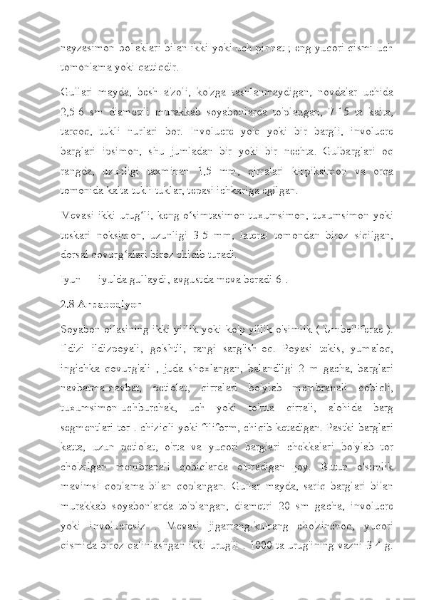 nayzasimon bo'laklari bilan ikki yoki uch pinnat ; eng yuqori qismi uch
tomonlama yoki qattiqdir.
Gullari   mayda,   besh   a'zoli,   ko'zga   tashlanmaydigan,   novdalar   uchida
2,5-6   sm   diametrli   murakkab   soyabonlarda   to'plangan,   7-15   ta   kalta,
tarqoq,   tukli   nurlari   bor.   Involucre   yo'q   yoki   bir   bargli,   involucre
barglari   ipsimon,   shu   jumladan   bir   yoki   bir   nechta.   Gulbarglari   oq
rangda,   uzunligi   taxminan   1,5   mm,   qirralari   kirpiksimon   va   orqa
tomonida kalta tukli tuklar, tepasi ichkariga egilgan.
Mevasi ikki urug li, keng o simtasimon tuxumsimon, tuxumsimon yokiʻ ʻ
teskari   noksimon,   uzunligi   3-5   mm,   lateral   tomondan   biroz   siqilgan,
dorsal qovurg alari biroz chiqib turadi.	
ʻ
Iyun — iyulda gullaydi, avgustda meva beradi[6].
2.8 Arpabodiyon
Soyabon oilasining ikki yillik yoki ko'p yillik o'simlik ( Umbelliferae ).
Ildizi   ildizpoyali,   go'shtli,   rangi   sarg'ish-oq.   Poyasi   tekis,   yumaloq,
ingichka   qovurg'ali   ,   juda   shoxlangan,   balandligi   2   m   gacha,   barglari
navbatma-navbat,   petiolat,   qirralari   bo'ylab   membranali   qobiqli,
tuxumsimon-uchburchak,   uch   yoki   to'rtta   qirrali,   alohida   barg
segmentlari tor-. chiziqli yoki filiform, chiqib ketadigan. Pastki barglari
katta,   uzun   petiolat,   o'rta   va   yuqori   barglari   chekkalari   bo'ylab   tor
cho'zilgan   membranali   qobiqlarda   o'tiradigan   joy.   Butun   o'simlik
mavimsi   qoplama   bilan   qoplangan.   Gullar   mayda,   sariq   barglari   bilan
murakkab   soyabonlarda   to'plangan,   diametri   20   sm   gacha,   involucre
yoki   involucresiz   .   Mevasi   jigarrang-kulrang   cho'zinchoq,   yuqori
qismida biroz qalinlashgan ikki urug'li . 1000 ta urug'ining vazni 3-4 g. 