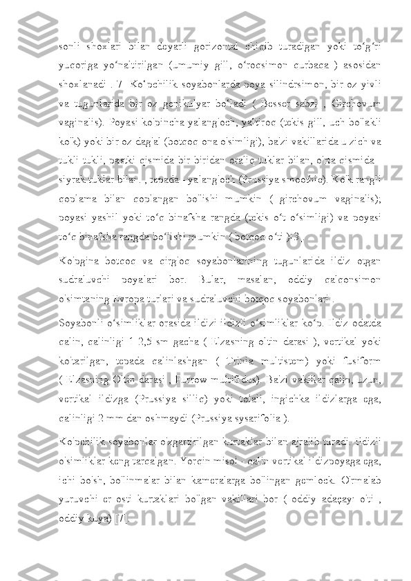 sonli   shoxlari   bilan   deyarli   gorizontal   chiqib   turadigan   yoki   to g riʻ ʻ
yuqoriga   yo naltirilgan   (umumiy   gill,   o roqsimon   qurbaqa   )   asosidan	
ʻ ʻ
shoxlanadi .[7] Ko‘pchilik soyabonlarda poya silindrsimon,  bir oz yivli
va   tugunlarida   bir   oz   genikulyar   bo‘ladi   (   Besser   sabzi   ,   Girchovum
vaginalis). Poyasi ko'pincha yalang'och, yaltiroq (tekis gill, uch bo'lakli
ko'k) yoki bir oz dag'al (botqoq ona o'simligi), ba'zi vakillarida u zich va
tukli tukli, pastki qismida bir-biridan oraliq tuklar bilan, o'rta qismida -
siyrak tuklar bilan. , tepada - yalang'och (Prussiya smoothie). Ko'k rangli
qoplama   bilan   qoplangan   bo'lishi   mumkin   (   girchovum   vaginalis);
poyasi   yashil   yoki   to q   binafsha   rangda   (tekis   o t   o simligi)   va   poyasi	
ʻ ʻ ʻ
to q binafsha rangda bo lishi mumkin ( botqoq o ti )[3].	
ʻ ʻ ʻ
Ko'pgina   botqoq   va   qirg'oq   soyabonlarining   tugunlarida   ildiz   otgan
sudraluvchi   poyalari   bor.   Bular,   masalan,   oddiy   qalqonsimon
o'simtaning Evropa turlari va sudraluvchi botqoq soyabonlari .
Soyabonli o simliklar orasida ildizi ildizli o simliklar ko p. Ildiz odatda	
ʻ ʻ ʻ
qalin,   qalinligi   1-2,5   sm   gacha   (   Elzasning   oltin   darasi   ),   vertikal   yoki
ko'tarilgan,   tepada   qalinlashgan   (   Trinia   multistem)   yoki   fusiform
( Elzasning Oltin darasi , Furrow multifidus). Ba'zi vakillar qalin, uzun,
vertikal   ildizga   (Prussiya   silliq)   yoki   tolali,   ingichka   ildizlarga   ega,
qalinligi 2 mm dan oshmaydi (Prussiya sysarifolia ).
Ko'pchilik soyabonlar o'zgartirilgan kurtaklar bilan ajralib turadi. Ildizli
o'simliklar keng tarqalgan. Yorqin misol - qalin vertikal ildizpoyaga ega,
ichi   bo'sh,   bo'linmalar   bilan   kameralarga   bo'lingan   gemlock.   O'rmalab
yuruvchi   er   osti   kurtaklari   bo'lgan   vakillari   bor   (   oddiy   adaçayı   o'ti   ,
oddiy kuya) [7]. 