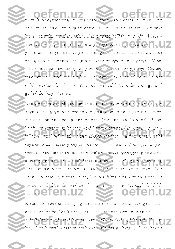 murakkab soyabonning umumiy involucresini yoki oddiygina involukrni
hosil qiladi. Involucre barglari odatda butun va butun bo'ladi, lekin ba'zi
bir   avlodlarda,   masalan,   sabzi,   ular   pinnate   bo'lishi   mumkin.   Xususiy
involukralarning   barglari   va   oddiy   soyabonlarning   involuklari   turli
yo'llar bilan birga o'sishi va yorqin rangga ega bo'lishi mumkin, bu holda
changlatuvchi   hasharotlarni   jalb   qilishda   muayyan   rol   o'ynaydi.   Misol
uchun,   oltin   krijovnikning   barglari   yorqin   sariq   rangga   ega.   Odatda,
involucre   va   involucre   barglari   kurtaklarni   tashqi   ta'sirlardan   himoya
qilish   vositasi   bo'lib   xizmat   qiladi   va   ba'zi   turlarda   ular   gullarni
gullashdan keyin tushadi.
Oddiy yoki murakkab soyabonlar birma-bir joylashtirilishi mumkin, ular
poya bilan tugaydi yoki cho'qqisi vegetativ bo'lib qoladigan sudraluvchi
kurtaklar   barglari   qo'ltig'idan   chiqadi   (masalan,   korifoliyada).   Biroq,
ko'pincha  soyabonlar   ko'proq  yoki  kamroq  tarvaqaylab  ketgan   umumiy
inflorescence hosil qiladi, unda markaziy soyabon eng rivojlangan. Ba ziʼ
soyabonlarda   markaziy   soyabonda   ikki   jinsli   yoki   urg ochi   gullar,   yon	
ʻ
shoxlari   soyabonlarida   esa   ozmi-ko pmi   reduksiyalangan   ginotsiumli	
ʻ
erkak   gullar   bo ladi.   Umbelliferae   orasida   bir   jinsli   gullar   juda   keng	
ʻ
tarqalgan   va   o'simliklar   bir   uyli   yoki   ikki   uyli   bo'lishi   mumkin.   Ikki
xonali   soyabonlarga   misol   qilib,   Janubiy   Afrikaning   Arctopus   jinsi   va
Evrosiyo   dashtlarida   yashovchi   Trinia   jinsining   turlarini   keltirish
mumkin.
Ko'pchilik   soyabonlarning   gullari   nisbatan   bir   xilda   tuzilgan.   Ular
odatda aktinomorf va 5 a'zoli, ikki jinsli, kamdan-kam hollarda bir jinsli;
o'simliklar bir uyli yoki kamdan-kam hollarda ikki uyli bo'ladi [2]. Har
bir gul besh bargli kosacha, besh a'zoli, alohida gulbargli gul toji, beshta 