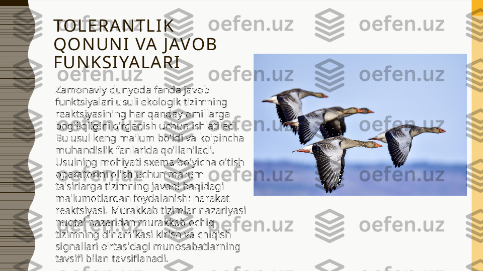 TO L E R A N T L I K  
Q O N U N I   VA   J AVO B  
F U N K S I YA L A R I
Zamonaviy dunyoda fanda javob 
funktsiyalari usuli ekologik tizimning 
reaktsiyasining har qanday omillarga 
bog'liqligini o'rganish uchun ishlatiladi. 
Bu usul keng ma'lum bo'ldi va ko'pincha 
muhandislik fanlarida qo'llaniladi. 
Usulning mohiyati sxema bo'yicha o'tish 
operatorini olish uchun ma'lum 
ta'sirlarga tizimning javobi haqidagi 
ma'lumotlardan foydalanish: harakat 
reaktsiyasi. Murakkab tizimlar nazariyasi 
nuqtai nazaridan murakkab ochiq 
tizimning dinamikasi kirish va chiqish 
signallari o'rtasidagi munosabatlarning 
tavsifi bilan tavsiflanadi. 