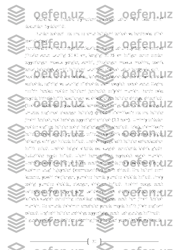 30Statistika   va   o’rtacha   qiymatlarni   hisoblash   uchun   “MS   Excel   2016”
dasturidan foydalanildi.
Bundan   tashqari     ota-ona   oq   amur   baliqlarni   tanlash   va   bantirovka   qilish
texnоlogiyasi:   
Bantirovka qilish bahor paytida o’tkaziladi. Buning uchun quyidagi transport va
jihozlar   zarur:   uzunligi   50-80   sm,   kengligi   30-35   sm   bo’lgan   qanor   qopdan
tayyorlangan   maxsus   yenglar,   zambil,   jihozlangan   maxsus   mashina,   texnik
tarozi, belanchak-zambil, baliqlarni uzunligini o’lchash uchun bantirovka stoli. 
Nasldor ota-ona baliqlarni ovlashda, ko’chirib o’tkazishda, har bir jinsni alohida
saqlashda,   og’irligi   va   uzunligi   o’lchashda   ularni   avaylab   -asrash   zarur.   Ozgina
noo’rin   harakat   nasldor   baliqlarni   jarohatlab   qo’yishi   mumkin.   Bantir   ovka
paytida birinchi bo’lib kasallangan va shikastlangan baliqlar chiqitga chiqariladi.
(boshi shikastlangan, oyquloqlarida kamchiliklari bo’lgan, dum o’zani qisqargan,
umurtqa   pog’onasi   qisqargan   baliqlar)   c)nasldor   o’simlikxo’r   ota-ona   baliqlar
jinsini farqlash, nasl berishga tayyorligini aniqlash (2.2-rasm).  Umimiy to’dadan
nasldor   sog’lom   baliqlar   tashqi   belgilariga   qarab   ajratiladi.   Erkak   o’simlikxo’r
baliqlar   tanasi   uzun,   qorni   tarang,   to’liq,   jinsiy   teshik   esa   uchburchak   shaklda
ichkariga so’rilgan holatda bo’ladi. Urchish paytiga kelib baliqlar serharakatchan
bo’lib   qoladi.   Urchish   belgisi   sifatida   esa   suzgich   qanotlarida   kichik   g’adir-
budurliklar   paydo   bo’ladi.   Ularni   barmoq   bilan   paypaslab   sezish   mumkin.
Urchishga tayyor ota baliqni pastga qarab osiltirganda jinsiy teshikdan oq rangli
sutsimon   urug’   hujayralari   (spermatazoidlar)   ajralib   chiqadi.   Ona   baliqni   qorni
kattaroq,   yaxshi   rivojlangan,   yumshoq   hamda   yumaloq   shaklda   bo’ladi.   Jinsiy
teshigi   yumaloq   shaklda,   qizargan,   shishgan   bo’ladi.   Boshini   pastga   qarab
osiltirganda   jinsiy   hujayra   ya’ni   uvildiriqlar   oqib   chiqadi.   Bundan   tashqari
ko’krak   suzgich   qanotining   orqasidagi   arrachalarga   qarab   ham   jinsni   farqlash
mumkin.   Oq   amurda   tishsimon   arrachalar   yanada   mayda   bo’lib   jilvir   qog’ozni
eslatadi. Urg’ochi baliqlar urchishga tayyorligiga qarab  uch guruhga bo’linadi:   
1-guruh yetilgan ona baliqlar. Ularning jinsiy belgilari yaqqol ko’zga tashlanadi.  