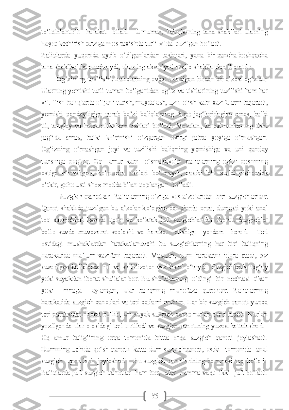 35to‘lqinlantirib     harakat     qiladi.     Umuman,   baliqlarning   tana   shakllari   ularning
hayot kechirish tarziga mos ravishda turli xilda  tuzilgan bo‘ladi.
Baliqlarda  yuqorida  aytib  o‘tilganlardan  tashqari,  yana  bir qancha boshqacha
tana shakllari ham uchraydi, ularning aksariyati oraliq shakllardan iboratdir.
         Og’zining tuzilishi.  Baliqlarning ovqat tutadigan birdan bir a’zosi og‘zidir.
Ularning yemishi turli-tuman bo‘lganidan og‘iz va tishlarining tuzilishi ham har
xil. Tish baliqlarda o‘ljani tutish, maydalash, uzib olish kabi vazifalarni bajaradi,
yemishi   qandayligiga   qarab   ba’zi   baliqlarning   faqat   jag‘laridagina   emas,   balki
til,   tanglay   va   halqumida   ham   tishlari   bo‘ladi.   Masalan,   karpsimonlarning   tishi
jag‘ida   emas,   balki   ko‘rinishi   o‘zgargan   oxirgi   jabra   yoyiga   o‘rnashgan.
Og‘izning   o‘rnashgan   joyi   va   tuzilishi   baliqning   yemishiga   va   uni   qanday
tutishiga   bog‘liq.   Oq     amur   kabi     o‘simlikxo‘r     baliqlarning   og‘zi   boshining
ostiga   o‘rnashgan,   ko‘pincha   tishlari   bo‘lmaydi,   pastki   labi   xuddi   pichoqdek
o‘tkir, goho usti shox modda bilan qoplangan  bo‘ladi. 
                Suzgich qanotlar . Baliqlarning o‘ziga xos a’zolaridan biri suzgichlaridir.
Qanot   shaklida   tuzilgan   bu   a’zolar   ko‘pgina   baliqlarda   orqa,   dumosti   yoki   anal
toq   suzgichlari   hamda   qorin   va   ko‘krak   juft   suzgichlaridan   iborat.   Suzgichlar
baliq   suvda   muvozanat   saqlashi   va   harakat     etishiga     yordam     beradi.     Teri
ostidagi  mushaklardan  harakatlanuvchi  bu  suzgichlarning  har  biri  baliqning
harakatida   ma’lum   vazifani   bajaradi.   Masalan,   dum   harakatni   idora   etadi,   tez
suzadigan   baliqlarda   rul   va   stabilizator   vazifasini   o‘taydi.   Suzgichlarda   tog‘ay
yoki suyakdan iborat shu’lalar bor. Bu shu’lalarning  oldingi  bir  nechtasi  tikan
yoki     ninaga     aylangan,   ular   baliqning   muhofaza   qurolidir.   Baliqlarning
harakatida suzgich qanotlari va teri qatlami muhim. Har bir suzgich qanoti yupqa
teri pardasidan iborat bo‘lib, uni suyak suzgich qanot nurlari tutib turadi. Nurlari
yozilganda ular orasidagi teri tortiladi va suzgich qanotining yuzasi kattalashadi.
Oq   amur   balig’ining   orqa   tomonida   bittta   orqa   suzgich   qanoti   joylashadi.
Dumining   uchida   qo‘sh   qanotli   katta   dum   suzgichqanoti,   ostki     tomonida     anal
suzgich     qanotlari     joylashadi.     Bu   suzgich   qanotlarining   hammasi   toq   bo‘ladi.
Baliqlarda juft suzgich qanotlar   ham  bor,   ular   hamma vaqt    ikki   juft bo‘ladi. 