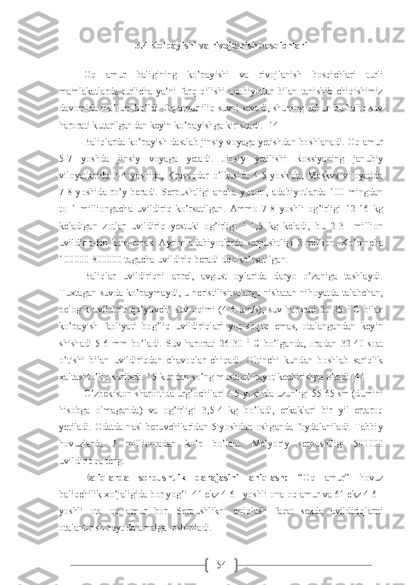 543. 4 Ko’payishi va rivojlanish bosqichlari
Oq   amur   baligining   ko’payishi   va   rivojlanish   bosqichlari   turli
mamlakatlarda   turlicha   ya’ni   farq   qilishi   adabiyotlar   bilan   tanishib   chiqishimiz
davomida ma’lum bo’ldi. Oq amur iliq suvni sevadi, shuning uchun bu baliq suv
harorati kutarilgandan keyin ko’payishga kirishadi. [14]
Baliqlarda ko’payish dastlab jinsiy voyaga yetishdan boshlanadi. Oq amur
5-7   yoshda   jinsiy   voyaga   yetadi.   Jinsiy   yetilishi   Rossiyaning   janubiy
viloyatlarida   3-4   yoshida,   Krasnodar   o’lkasida   4-5   yoshida,   Moskva   viloyatida
7-8   yoshida   ro’y   beradi.   Serpushtligi   ancha   yuqori,   adabiyotlarda   100   mingdan
to   1   milliongacha   uvildiriq   ko’rsatilgan.   Ammo   7-8   yoshli   og’irligi   12-16   kg
keladigan   zotlar   uvildiriq   yestuki   og’irligi   1-1,5   kg   keladi,   bu   2-3     million
uvildiriqdan   kam   emas.   Ayrim   adabiyotlarda   serpushtligi   2   million.   Ko’pincha
100000-800000 tagacha uvildiriq beradi deb ko’rsatilgan.  
Baliqlar   uvildiriqni   aprel,   avgust   oylarida   daryo   o’zaniga   tashlaydi.
Tuxtagan suvda ko’paymaydi, u neristilisitsalarga nisbatan nihoyatda talabchan,
pelogik   uvildiriq   qo’yuvchi   suv   oqimi   (4-6   km/s),   suv   harorati   20-25   0  
C   bilan
ko’payish   faoliyati   bog’liq   uvildiriqlari   yopishqoq   emas,   otalangandan   keyin
shishadi   5-6   mm   bo’ladi.   Suv   harorati   26-30   0
  C   bo’lganda,   oradan   32-40   soat
o’tishi   bilan   uvildiriqdan   chavoqlar   chiqadi.   Oltinchi   kundan   boshlab   sariqlik
xaltasi to’liq suriladi. 15-kundan so’ng mustaqil hayot kechirishga o’tadi.[41]
O’zbekiston sharoitida urg’ochilari 4-5 yoshida uzunligi 55-65 sm (dumini
hisobga   olmaganda)   va   og’irligi   3,5-4   kg   bo’ladi,   erkaklari   bir   yil   ertaroq
yetiladi. Odatda nasl  beruvchilaridan 5 yoshdan oshganda  foydalaniladi. Tabbiy
hovuzlarda   1   milliontadan   ko’p   bo’ladi.   Me’yoriy   serpushtligi   500000
uvildiriqqa teng. 
Baliqlarda   serpushtlik   darajasini   aniqlash:   “Oq   amur”   hovuz
baliqchilik xo’jaligida bor yog’i  41 ekz 4-6+ yoshli ona oq amur va 61 ekz 4-6+
yoshli   ota   oq   amur   bor.   Serpushlikni   aniqlash   faqat   sexda   uvildiriqlarni
otalantirish paytida amalga  oshiriladi.  