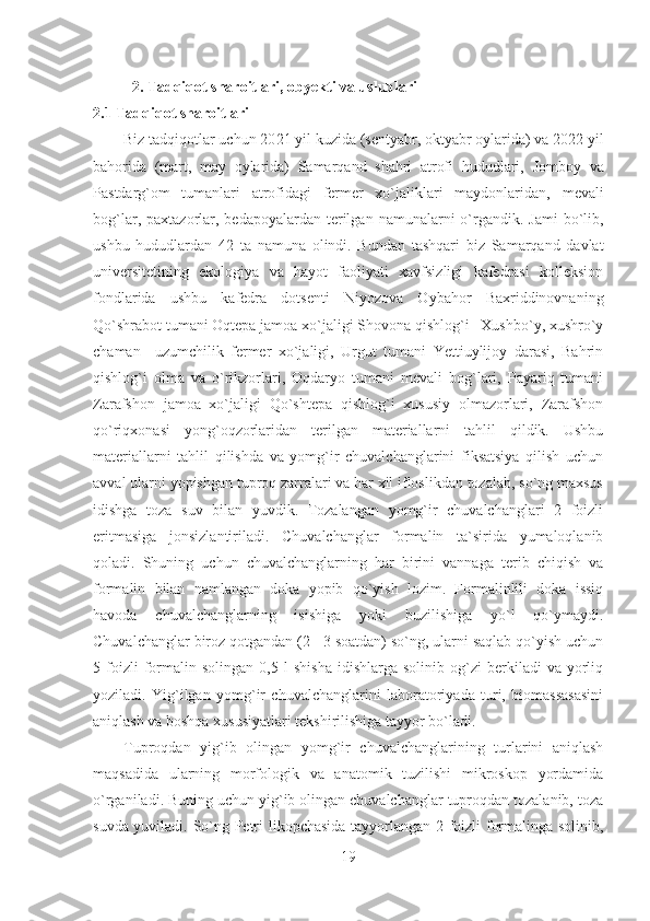 2. Tadqiqot sharoitlari, obyekti va uslublari
2.1 Tadqiqot sharoitlari
Biz tadqiqotlar uchun 20 21  yil kuzida (sentyabr, oktyabr oylarida) va 20 22  yil
bahorida   (mart,   may   oylarida)   Samarqand   shahri   atrofi   hududlari,   Jomboy   va
Pastdarg`om   tumanlari   atrofidagi   fermer   xo`jaliklari   maydonlaridan,   mevali
bog`lar,  paxtazorlar,  bedapoyalardan  terilgan  namunalarni  o`rgandik.  Jami   bo`lib,
ushbu   hududlardan   42   ta   namuna   olindi.   Bundan   tashqari   biz   Samarqand   davlat
universitetining   ekologiya   va   hayot   faoliyati   xavfsizligi   kafedrasi   kolleksion
fondlarida   ushbu   kafedra   dotsenti   Niyozova   Oybahor   Baxriddinovnaning
Qo`shrabot tumani Oqtepa jamoa xo`jaligi Shovona qishlog`i   Xushbo`y, xushro`y
chaman     uzumchilik   fermer   xo`jaligi,   Urgut   tumani   Yettiuylijoy   darasi,   Bahrin
qishlog`i   olma   va   o`rikzorlari,   Oqdaryo   tumani   mevali   bog`lari,   Payariq   tumani
Zarafshon   jamoa   xo`jaligi   Qo`shtepa   qishlog`i   xususiy   olmazorlari,   Zarafshon
qo`riqxonasi   yong`oqzorlaridan   terilgan   materiallarni   tahlil   qildik.   Ushbu
materiallarni   tahlil   qilishda   va   yomg`ir   chuvalchanglarini   fiksatsiya   qilish   uchun
avval ularni yopishgan tuproq zarralari va har xil ifloslikdan tozalab, so`ng maxsus
idishga   toza   suv   bilan   yuvdik.   Tozalangan   yomg`ir   chuvalchanglari   2   foizli
eritmasiga   jonsizlantiriladi.   Chuvalchanglar   formalin   ta`sirida   yumaloqlanib
qoladi.   Shuning   uchun   chuvalchanglarning   har   birini   vannaga   terib   chiqish   va
formalin   bilan   namlangan   doka   yopib   qo`yish   lozim.   Formalinlili   doka   issiq
havoda   chuvalchanglarning   isishiga   yoki   buzilishiga   yo`l   qo`ymaydi.
Chuvalchanglar biroz qotgandan (2 - 3 soatdan) so`ng, ularni saqlab qo`yish uchun
5  foizli   formalin   solingan   0,5  l   shisha   idishlarga   solinib   og`zi   berkiladi   va   yorliq
yoziladi.   Yig`ilgan   yomg`ir   chuvalchanglarini   laboratoriyada   turi,   biomassasasini
aniqlash va boshqa xususiyatlari tekshirilishiga tayyor bo`ladi.
Tuproqdan   yig`ib   olingan   yomg`ir   chuvalchanglarining   turlarini   aniqlash
maqsadida   ularning   morfologik   va   anatomik   tuzilishi   mikroskop   yordamida
o`rganiladi. Buning uchun yig`ib olingan chuvalchanglar tuproqdan tozalanib, toza
suvda yuviladi. So`ng Petr i   likopchasida tayyorlangan 2 foizli formalinga solinib,
19 