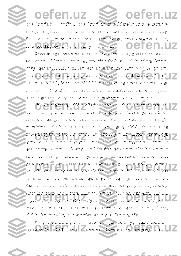 jonsizlantiriladi.   Formalinda   jonsizlantirilgan   chuvalchanglar   tanasi   g`ayritabiiy
shaklga   kirganidan   oldin   ularni   mikroskopda   tekshirish   birmuncha   noqulay.
Shuning   uchun   chuvalchanglar   tezda   boshqa   idishga,   maxsus   vannaga   solinib,
tanasi tekislangach filtr qog`oz bilan yopib qo`yiladi.
Chuvalchanglar   vannadan   birma-bir   stol   ustiga   olinib,   gavdasining   uzunligi
va   diametri   o`lchanadi.   Teri   rangi,   boshining   shakli   va   tuzilishi   belbog`   kamari,
jinsiy organlari, tuklari, populalari, valiklari va anal teshiklarining joylashgan o`rni
aniqlanadi.   So`ngra   chuvalchang   ustini   qoplaydigan   miqdorda   suv   sepiladi.   Petri
likopchasi   MBS-1,   MBS-9   va   MBS-10   mikroskopining   obyektiv   stolcha   ustiga
o`rnatilib,  12  (6  x  2)   marotaba  kattalashtiradigan  obektiv  ostiga   chuvalchangning
tashqi organlarining joylashinuvi aniqlanadi va halqalar soni sanab chiqiladi.
Chuvalchanglarning   ichki   tuzilishini   o`rganish   uchun   ular   yopib   qo`yilishi
lozim.   Buning   uchun   Petri   likopchasi   qopqog`iga   bir   tekisda   yupqa   0,5   sm
qalinlikda   kesilgan   po`kak   joylab   chiqiladi.   Yangi   jonsizlantirilgan   yomg`ir
chuvalchangi   olinib,   po`kak   ustiga   qorin   tomoniga   yotqizish,   shundan   so`ng
chuvalchang  bosh  qismi   uchinchi  halqasi  har   ikki  yonidan  bittadan  entomologiya
ignasi   sanchilib,   qimirlamaydigan   holatda   ish   jarayoniga   tayyorlanadi.   Yana   bir
igna   belbog`   kamaridan   keyingi   5-6   halqasidan   yelka   tomondan   biroz   tortilib
sanchiladi.   Idishga   chuvalchangni   yopadigan   miqdorda   suv   solinib,   o`tkir   peska
yordamida   uning   terisi   bosh   qismidan   boshlab   oxirgi   igna   sanchilgan   joygacha
kesiladi.   Chuvalchang   terisini   kesishda   juda   ehtiyot   bo`lish   talab   qilinadi,   aks
holda   qon   tomirlari   va   boshqa   organlariga   tig`   tegib   jarohatlanishi   mumkin.
Kesilgan teri orqa tarafdan ikkitadan igna bilan sekin ikki yonga tortilib, po`kakga
sanchiladi.   So`ng   chuvalchang   tanasi   ma`lum   oraliqda   bosh   qismigacha   ochiladi.
Tayyor bo`lgan obyekt stolchaga qo`yilib, mikroskop ostida uning ichki organlari
tekshiriladi.   Mikroskop   ostida   ichki   organlardan   nerv   tuguni,   halqum,   jig`ildon,
ohak bezlari nefriytlar, urug` voronkasi va urug` yo`llari o`rganiladi.
Yomg`ir chuvalchanglari biomassasini  aniqlash uchun yig`ilgan chuvalchang
tuproq   va   har   xil   iflosliklardan   tozalanadi.   Chuvalchanglar   ichagidagi   tuproqni 