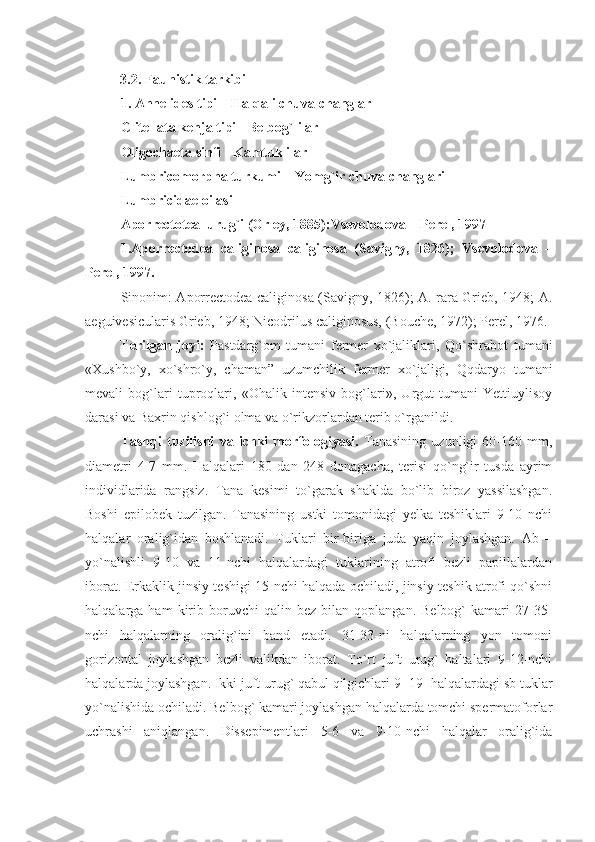    3.2. Faunistik tarkibi
1.  Annelides tipi – Halqali chuvalchanglar
Clitellata kenja tipi - Belbog`lilar
Oligochaeta sinfi - Kamtuklilar
Lumbricomorpha turkumi – Yomg`ir chuvalchanglari
Lumbricidae oilasi
Aporrectotea  urug`i (Orley, 1885):Vsevolodova – Perel, 1997
1.Aporrectodea   caliginosa   caliginosa   (Savigny,   1826);   Vsevolodova   –
Perel, 1997.
Sinonim: Aporrectodea caliginosa (Savigny, 1826); A. rara Grieb, 1948; A.
aeguivesicularis Grieb, 1948; Nicodrilus caliginosus, (Bouche, 1972); Perel, 1976.
Terilgan   joyi:   Pastdarg`om   tumani   fermer   xo`jaliklari,   Qo`shrabot   tumani
«Xushbo`y,   xo`shro`y,   chaman ”   uzumchilik   fermer   xo`jaligi,   Qqdaryo   tumani
mevali   bog`lari   tuproqlari,   «Ohalik   intensiv   bog`lari»,   Urgut   tumani   Yettiuylisoy
darasi va Baxrin qishlog`i olma va o`rikzorlardan terib o`rganildi.
Tashqi   tuzilishi   va   ichki   morfologiyasi.   Tanasining   uzunligi   60-160   mm,
diametri   4-7   mm.   Halqalari   180   dan   248   donagacha,   terisi   qo`ng`ir   tusda   ayrim
individlarida   rangsiz.   Tana   kesimi   to`garak   shaklda   bo`lib   biroz   yassilashgan.
Boshi   epilobek   tuzilgan.   Tanasining   ustki   tomonidagi   yelka   teshiklari   9-10   nchi
halqalar   oralig`idan   boshlanadi.   Tuklari   bir-biriga   juda   yaqin   joylashgan.   Ab   –
yo`nalishli   9-10   va   11-nchi   halqalardagi   tuklarining   atrofi   bezli   papillalardan
iborat. Erkaklik jinsiy teshigi 15-nchi halqada ochiladi, jinsiy teshik atrofi qo`shni
halqalarga  ham   kirib   boruvchi   qalin   bez  bilan   qoplangan.   Belbog`   kamari   27-35-
nchi   halqalarning   oralig`ini   band   etadi.   31-33-ni   halqalarning   yon   tomoni
gorizontal   joylashgan   bezli   valikdan   iborat.   To`rt   juft   urug`   haltalari   9-12-nchi
halqalarda joylashgan. Ikki juft urug` qabul qilgichlari 9- 19- halqalardagi sb tuklar
yo`nalishida ochiladi. Belbog` kamari joylashgan halqalarda tomchi spermatoforlar
uchrashi   aniqlangan.   Dissepimentlari   5-6   va   9-10-nchi   halqalar   oralig`ida 