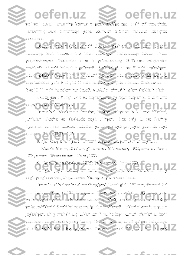 yo`l-yo`l   tusda.   Tanasining   kesmasi   to`garak   shaklga   ega.   Boshi   epilobek   tipda.
Tanasining   ustki   tomonidagi   yelka   teshiklari   5-6-nchi   halqalar   oralig`ida
boshlanadi.  
Erkaklik   jinsiy   teshigi   15-nchi   alqada   joylashgan   bo`lib,   atrofi   qo`shni
halqalarga   kirib   boruvchi   bez   bilan   qoplangan.   Halqalardagi   tuklari   o`zaro
yaqinlashmagan.   Tuklarning   a   va   b   yo`nalishining   28-27-nchi   halqalardan
boshlanib,   33-nchi   halqada   tugallanadi.   Bezli   valigi   30   va   31-nchi   joylashgan.
Urug` xaltalari 4 juft, 9-12-nchi halqalarni egallagan. Urug` qabul qilgichi ikki juft,
orqa teshiklari yo`li 9-10-, 10-11-nchi halqalar oralig`ida ochiladi. Ohak bezlari 1-
2 va 10-11- nchi halqalarni band etadi. Muskul to`qimasi bog`lam shaklda bo`ladi.
Ekologiyasi:   Yong`oqzor   va   bog`larda,   chiriyotgan   barglar   ko`p   to`planib
qolgan tuproqlarda uchraydi.    
Tarqalishi:   Mazkur   tur   Fransiya,   Turkiya,   Italiya   va   MDH   respublikalari,
jumladan   Ukraina   va   Kavkazda   qayd   qilingan.   O`rta   osiyoda   esa   G`arbiy
Tyanshon   va   Hisor   darvoza   hududlari   yaholi   yashaydigan   joylar   yaqinida   qayd
qilingan  [20,21,22,23,24,25].
Xo`jalikdagi ahamiyati:  Tuproqni qayta ishlab, gumus bilan boyitadi. 
                    Eisenia   Malm,  1877   urug`i,   emend.   Michaelsen,   1900,  emend.  Perel;
1974, emend. Vsevolodova – Perel, 1997.
5.   Eisena fetida (Savigny, 1826) Vsevolodova-Perel, 1997.
Terilgan   joyi:   Pastdarg`om   tumani   fermer   xo`jaliklari,   Zarafshon   milliy
bog`i yong`oqzorlari, Urgut tumani Yettiuylisoy darasidan terildi.
Tashqi tuzilishi va ichki morfologiyasi.  Uzunligi 40-130 mm, diametri 2-4
mm.   Halqalar   soni   80-120   donagacha.   Tanasi   qizil,   qizg`ish   –   siyohrang   yoki
malla-qizg`ish   yo`lka   tusda.   Bosh   tuzilishi   epilobek,   tanasining   ustki   tomonidagi
yelka teshiklari 4-5-nchi halqalar oralig`idan boshlanadi. Tuklari o`zaro juda yaqin
joylashgan,   ab   yo`nalishidagi   tuklar   atrofi   va   belbog`   kamari   qismlarida   bezli
papillalari   bor.   Erkaklik   jinsiy   teshigi   15-nchi   halqada,   atrofi   qo`shni   halqalarga
kirib   boruvchi   bez   bilan   qoplangan.   Belbog`   kamari   26-,   27-,   31-,   32-nchi 