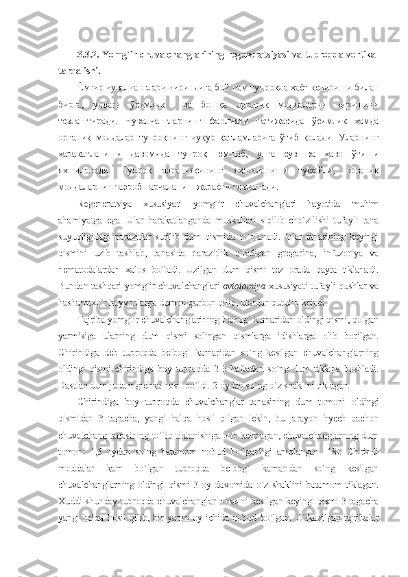 3.3.2.   Yomg`ir chuvalchanglarining regeneratsiyasi  va tuproqda vertikal
tarqalishi.
Ёмғир чувалчанглари чириндига бой нам тупроқда ҳаёт кечириши билан
бирга,   ундаги   ўсимлик     ва   бошқа   органик   моддаларни   чиришини
тезлаштиради.   Чувалчангларнинг   фаолияти   натижасида   ўсимлик   ҳамда
органик   моддалар   тупроқнинг   чуқур   қатламларига   ўтиб   қолади.   Уларнинг
ҳаракатланиши   давомида   тупроқ   юмшаб,   унга   сув   ва   ҳаво   ўтиши
яхшиланади.   Тупроқ   аэрациясининг   яхшиланиши   туфайли,   органик
моддаларнинг аэроб парчаланиш жараёни тезлашади.  
Regeneratsiya   xususiyati   yomg`ir   chuvalchanglari   hayotida   muhim
ahamiyatga   ega.   Ular   harakatlanganda   muskullari   siqilib   cho`zilishi   tufayli   tana
suyuqligidagi   parazitlar   surilib   dum   qismida   to`planadi.   Ular   tanasining   keyingi
qismini   uzib   tashlab,   tanasida   parazitlik   qiladigan   gregarina,   infuzoriya   va
nematodalardan   xalos   bo`ladi.   Uzilgan   dum   qismi   tez   orada   qayta   tiklanadi.
Bundan tashqari yomg`ir chuvalchanglari   avtotomiya   xususiyati tufayli qushlar va
hasharotxo`r hayvonlarga dumini qurbon qilib, ulardan qutulib keladi.
Tajriba yomg`ir chuvalchanglarining belbog` kamaridan oldingi qismi, qolgan
yarmisiga   ularning   dum   qismi   solingan   qismlarga   idishlarga   olib   borilgan.
Chirindiga   deb   tuproqda   belbog`   kamaridan   so`ng   kesilgan   chuvalchanglarning
oldingi   qismi   chirindiga   boy   tuproqda   2-3   haftadan   so`ng   dum   tiklana   boshladi.
Dastlab dum juda ingichka hosil bo`ldi. 2 oydan so`ng o`z shaklini tiklagan.
Chirindiga   boy   tuproqda   chuvalchanglar   tanasining   dum   tomoni   oldingi
qismidan   3   tagacha,   yangi   halqa   hosil   qilgan   lekin,   bu   jarayon   hyech   qachon
chuvalchang tanasining to`liq tiklanishiga olib kelmagan, chuvalchanglarning dum
tomoni   1,5   oydan   so`ng   batamom   nobud   bo`lganligi   aniqlangan   [18].   Chirindi
moddalar   kam   bo`lgan   tuproqda   belbog`   kamaridan   so`ng   kesilgan
chuvalchanglarning   oldingi   qismi   3   oy   davomida   o`z   shaklini   batamom   tiklagan.
Xuddi shunday tuproqda chuvalchanglar tanasini kesilgan keyingi qismi 3 tagacha
yangi   halqa   hosil   qilib,  bir   yarim   oy   ichida  nobud   bo`lgan.   O`tkazilgan   tajribalar 