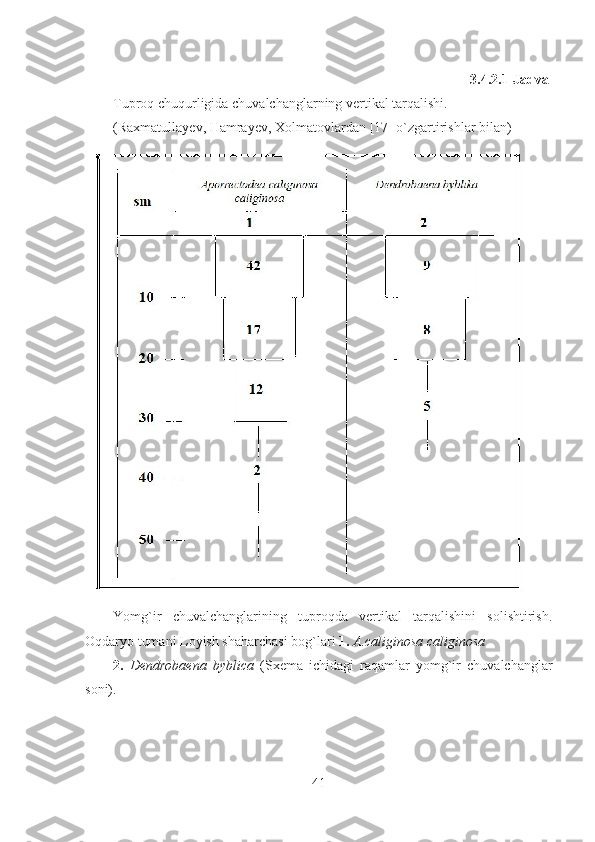 3.4.2.1 - Jadval
Tuproq chuqurligida chuvalchanglarning vertikal tarqalishi.
(Raxmatullayev, Hamrayev, Xolmatovlardan  [17]  o`zgartirishlar bilan)
Yomg`ir   chuvalchanglarining   tuproqda   vertikal   tarqalishini   solishtirish.
Oqdaryo tumani Loyish shaharchasi bog`lari  1.   A.caliginosa caliginosa 
2.   Dendrobaena   byblica   (Sxema   ichidagi   raqamlar   yomg`ir   chuvalchanglar
soni).
41 