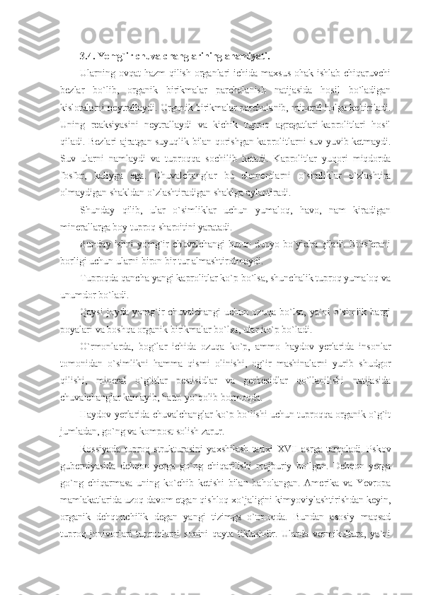 3.4. Yomg`ir chuvalchanglarining ahamiyati.
Ularning ovqat  hazm qilish organlari  ichida maxsus ohak ishlab chiqaruvchi
bezlar   bo`lib,   organik   birikmalar   parchalanish   natijasida   hosil   bo`ladigan
kislotalarni neytrallaydi. Organik birikmalar parchalanib, mineral holga keltiriladi.
Uning   reaksiyasini   neytrallaydi   va   kichik   tuproq   agregatlari-kaprolitlari   hosil
qiladi. Bezlari ajratgan suyuqlik bilan qorishgan kaprolitlarni suv yuvib ketmaydi.
Suv   ularni   namlaydi   va   tuproqqa   sochilib   ketadi.   Kaprolitlar   yuqori   miqdorda
fosfor,   kaliyga   ega.   Chuvalchanglar   bu   elementlarni   o`simliklar   o`zlashtira
olmaydigan shakldan o`zlashtiradigan shaklga aylantiradi.
Shunday   qilib,   ular   o`simliklar   uchun   yumaloq,   havo,   nam   kiradigan
minerallarga boy tuproq sharoitini yaratadi.
Bunday ishni  yomg`ir  chuvalchangi  butun dunyo bo`yicha qiladi. Biosferani
borligi uchun ularni biron bir tur almashtirolmaydi.
Tuproqda qancha yangi kaprolitlar ko`p bo`lsa, shunchalik tuproq yumaloq va
unumdor bo`ladi.
Qaysi   joyda   yomg`ir   chuvalchangi   uchun   ozuqa   bo`lsa,   ya`ni   o`simlik   bargi
poyalari va boshqa organik birikmalar bo`lsa, ular ko`p bo`ladi.
O`rmonlarda,   bog`lar   ichida   ozuqa   ko`p,   ammo   haydov   yerlarida   insonlar
tomonidan   o`simlikni   hamma   qismi   olinishi,   og`ir   mashinalarni   yurib   shudgor
qilishi,   mineral   o`g`itlar   pestisidlar   va   gerbesidlar   qo`llanilishi   natijasida
chuvalchanglar kamayib, hatto yo`qolib bormoqda.
Haydov yerlarida chuvalchanglar ko`p bo`lishi uchun tuproqqa organik o`g`it
jumladan, go`ng va kompost solish zarur.
Rossiyada   tuproq   strukturasini   yaxshilash   tarixi   XVII   asrga   tarqaladi.   Pskov
guberniyasida   dehqon   yerga   go`ng   chiqarilishi   majburiy   bo`lgan.   Dehqon   yerga
go`ng   chiqarmasa   uning   ko`chib   ketishi   bilan   baholangan.   Amerika   va   Yevropa
mamlakatlarida uzoq davom etgan qishloq xo`jaligini kimyoviylashtirishdan keyin,
organik   dehqonchilik   degan   yangi   tizimga   o`tmoqda.   Bundan   asosiy   maqsad
tuproq   jonivorlari   tuproqlarni   sonini   qayta   tiklashdir.   Ularda   vermikultura,   ya`ni 