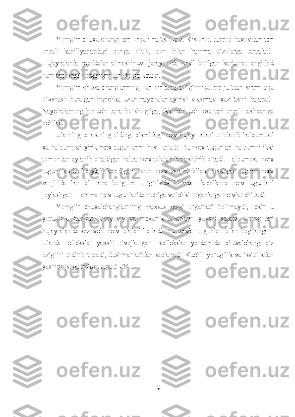 Yomg`ir chuvalchangi  teri orqali nafas oladi. Kislorod tuproq havosidan  teri
orqali   kapillyarlardagi   qonga   o`tib,   qon   bilan   hamma   a`zolarga   tarqaladi.
Hujayralarda   moddalar   almashinuvi   jarayonida   hosil   bo`lgan   karbonat   angidrid
ham teri orqali organizmdan chiqib ketadi.
Yomg`ir   chuvalchanglarining   har   bir   tana   bo`g`imida   bir   juftdan   sirtmoqqa
o`xshash   buralgan   ingichka   uzun   naychalar   ayirish   sistemasi   vazifasini   bajaradi.
Naychalarning   bir   uchi   tana   bo`shlig`iga,   ikkinchi   uchi   esa   teri   orqali   tashqariga
ochiladi.
Ularning tanasining oldingi qismidagi nerv hujay   ralari to`planib halqumusti
va halqumosti yirik nerv tugunlarini hosil qiladi. Bu nerv tugunlari halqumni ikki
tomondan aylanib o`tadigan halqa nerv tolalari birlashtirib o`tadi. Halqumosti nerv
tuguni   qorin   bo`ylab   ketadigan   qorin   nerv   zanjiri   bilan   tutashgan.   Qorin   nerv
zanjirida   har   bir   tana   bo`g`imi   to`g`risida   bittadan   kichikroq   nerv   tugunlari
joylashgan. Hamma nerv tugunlaridan teriga va ichki organlarga nervlar chiqadi.
Yomg`ir   chuvalchanglarining   maxsus   sezgi   organlari   bo`lmaydi,   lekin   u
yorug`lik,   harorat,   kimyoviy   va   mexanik   ta`sirlarni   yaxshi   sezadi.   Uning   teri
hujayralarida sezuvchi nerv tolalari bo`ladi. Bu nervlar tugunlari bilan bog`langan.
Ularda   reflekslar   yaxshi   rivojlangan.   Reflekslar   yordamida   chuvalchang   o`z
ozig`ini  qidirib topadi, dushmanlaridan saqlanadi. Kuchli yorug`lik va issiqlikdan
yashirinishga imkon topadi [24].
9 