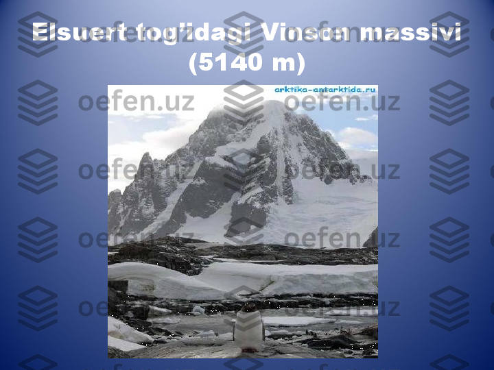 Elsuert tog’idagi Vinson massivi 
(5140 m) 