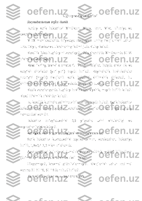 Bug‘doy sarik, bakteriozi
So rynebacterium   trifici   Burkh  .
Burdoy   sarik   bakteriozi   Xindiston,   Xitoy,   Eron,   Misr,   Efiopiya   va
avstraliyada tarkalgan.
MDX   mamlakatlarida   r o‘ yxatga   olinmagan.   Uning   rivojla-nishi   uchun
Urta Osiyo, Kavkaz va Ukrainaning ikdimi juda Kulay keladi.
Kasallik fakat bug‘doy ni zararlaydi. Dala sharoitida Xindistonda 50 %
o‘ simlikni zararlagan.
Kasallikning   tashki   alomatlari.   Birinchi   belgilar,   bargda   ensiz   ok   va
sar g‘ ish   chizikdar   (y o‘ l-y o‘ l)   paydo   b o‘ ladi.   Keyinchalik   boshokchalar
not o‘g‘ ri   (mayib)   rivojlanib   sarik   bakterial   shilimshik   chikaradi,   bu
shilimshik namlik yukori bulgan vaktda yerga okib tushadi.
Kattik   zararlanganda   bu g‘d oy   boshokdari   kiyshik,   mayib   b o‘ lib   koladi.
Kasal  O‘ simlik  o‘ sishdan koladi.
Bu kasallik kupincha gelmintoz bilan birga paydo buladi. Sarik bakterioz
tarkalishining   asosiy   manbai   zararlangan   urug‘lar   bilan   birga-bug‘doy
nematodasi xamdir.
Bakterioz   qo‘ z g‘ atuvchisi   2,5   yilgacha   uzini   virulentligi   va
xayotchanligini sakdaydi.
K o‘ z g‘ atuvchining morfologiyasi va biologik asoslari
Sarik   bakterioz   kuzratuvchisi   tayokchasimon,   xarakatchan,   bak teriya
b o‘ lib, 0,8x2,4-3,2 mkm  o‘ lchamda.
Agar   agardagi   koloniyasi   dumalok   sargish   yaltirok,   yakkol   bilinadigan
(d o‘ mbok). Bakteriyalar ta’sirida oksil - jelatin
O‘ zgarmaydi,   kraxmal   gidrolizlanmaydi.   Rivojlanish   uchun   opti-mal
xarorat 20-30 °S, 50 ° Sda nobud b o‘ ladi.
Karantin tadbirlar va kurash choralari:  