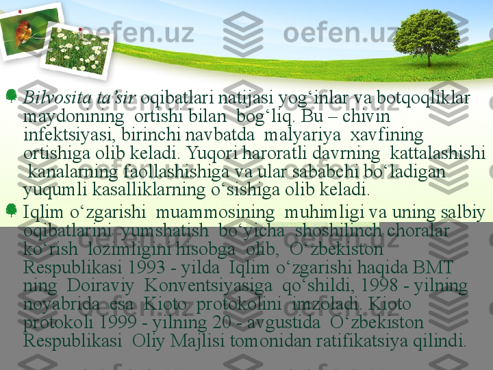 Bilvosita ta’sir   oqibatlari natijasi yog‘inlar va botqoqliklar 
maydonining  ortishi bilan  bog‘liq. Bu – chivin  
infektsiyasi, birinchi navbatda  malyariya  xavfining 
ortishiga olib keladi. Yuqori haroratli davrning  kattalashishi 
 kanalarning faollashishiga va ular sababchi bо‘ladigan 
yuqumli kasalliklarning о‘sishiga olib keladi.
Iqlim о‘zgarishi  muammosining  muhimligi va uning salbiy 
oqibatlarini  yumshatish  bо‘yicha  shoshilinch choralar 
kо‘rish  lozimligini hisobga  olib,  О‘zbekiston  
Respublikasi 1993 - yilda  Iqlim о‘zgarishi haqida BMT 
ning  Doiraviy  Konventsiyasiga  qо‘shildi, 1998 - yilning 
noyabrida  esa  Kioto  protokolini  imzoladi. Kioto  
protokoli 1999 - yilning 20 - avgustida  О‘zbekiston  
Respublikasi  Oliy Majlisi tomonidan ratifikatsiya qilindi.  