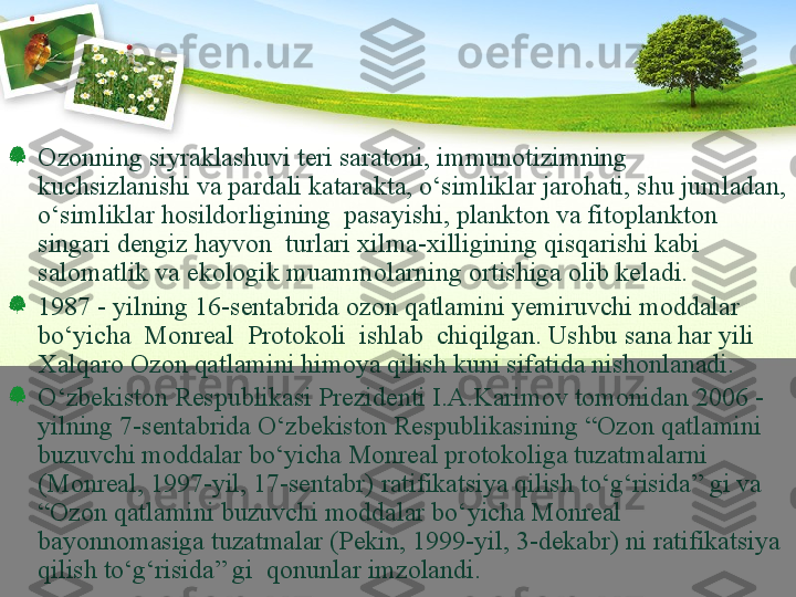 Ozonning siyraklashuvi teri saratoni, immunotizimning  
kuchsizlanishi va pardali katarakta, о‘simliklar jarohati, shu jumladan, 
о‘simliklar hosildorligining  pasayishi, plankton va fitoplankton 
singari dengiz hayvon  turlari xilma-xilligining qisqarishi kabi 
salomatlik va ekologik muammolarning ortishiga olib keladi. 
1987 - yilning 16-sentabrida ozon qatlamini yemiruvchi moddalar 
bо‘yicha  Monreal  Protokoli  ishlab  chiqilgan. Ushbu sana har yili 
Xalqaro Ozon qatlamini himoya qilish kuni sifatida nishonlanadi. 
О‘zbekiston Respublikasi Prezidenti I.A.Karimov tomonidan 2006 - 
yilning 7-sentabrida О‘zbekiston Respublikasining “Ozon qatlamini 
buzuvchi moddalar bо‘yicha Monreal protokoliga tuzatmalarni 
(Monreal, 1997-yil, 17-sentabr) ratifikatsiya qilish tо‘g‘risida” gi va 
“Ozon qatlamini buzuvchi moddalar bо‘yicha Monreal 
bayonnomasiga tuzatmalar (Pekin, 1999-yil, 3-dekabr) ni ratifikatsiya 
qilish tо‘g‘risida” gi  qonunlar imzolandi. 