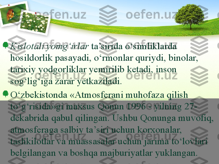 Kislotali yomg‘irlar  ta’sirida о‘simliklarda 
hosildorlik pasayadi, о‘rmonlar quriydi, binolar, 
tarixiy yodgorliklar yemirilib ketadi, inson 
sog‘lig‘iga zarar yetkaziladi.  
О‘zbekistonda «Atmosferani muhofaza qilish 
tо‘g‘risida»gi maxsus Qonun 1996 - yilning 27-
dekabrida qabul qilingan. Ushbu Qonunga muvofiq, 
atmosferaga salbiy ta’siri uchun korxonalar, 
tashkilotlar va muassasalar uchun jarima tо‘lovlari 
belgilangan va boshqa majburiyatlar yuklangan. 