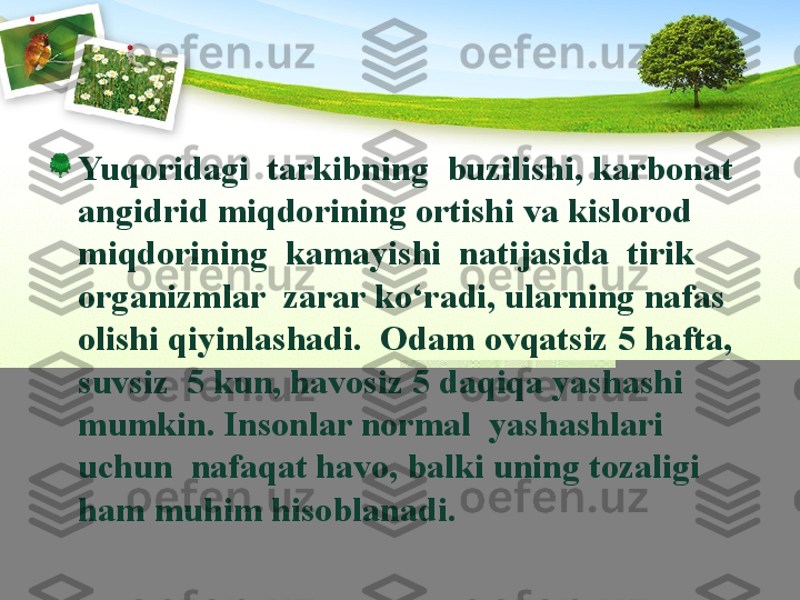 Yuqoridagi  tarkibning  buzilishi, karbonat 
angidrid miqdorining ortishi va kislorod  
miqdorining  kamayishi  natijasida  tirik  
organizmlar  zarar kо‘radi, ularning nafas 
olishi qiyinlashadi.  Odam ovqatsiz 5 hafta, 
suvsiz  5 kun, havosiz 5 daqiqa yashashi 
mumkin. Insonlar normal  yashashlari  
uchun  nafaqat havo, balki uning tozaligi 
ham muhim hisoblanadi. 