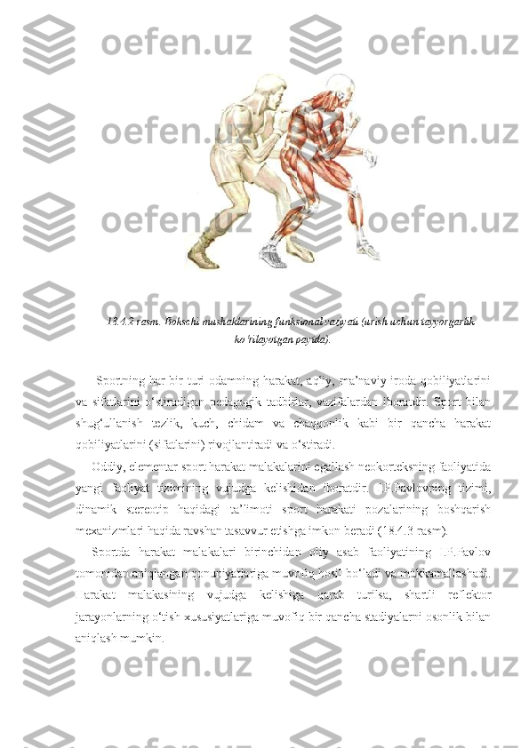 18.4.2-rasm. Bokschi mushaklarining funksional vaziyati (urish uchun tayyorgarlik
ko‘rilayotgan paytda).
  Sportning har bir turi odamning harakat, aqliy, ma’naviy-iroda qobiliyatlarini
va   sifatlarini   o‘stiradigan   pedagogik   tadbirlar,   vazifalardan   iboratdir.   Sport   bilan
shug‘ullanish   tezlik,   kuch,   chidam   va   chaqqonlik   kabi   bir   qancha   harakat
qobiliyatlarini (sifatlarini) rivojlantiradi va o‘stiradi. 
Oddiy, elementar sport harakat malakalarini egallash neokorteksning faoliyatida
yangi   faoliyat   tizimining   vujudga   kelishidan   iboratdir.   I.P.Pavlovning   tizimi,
dinamik   stereotip   haqidagi   ta’limoti   sport   harakati   pozalarining   boshqarish
mexanizmlari haqida ravshan tasavvur etishga imkon beradi (18.4.3-rasm). 
Sportda   harakat   malakalari   birinchidan   oliy   asab   faoliyatining   I.P.Pavlov
tomonidan aniqlangan qonuniyatlariga muvofiq hosil bo‘ladi va mukkamallashadi.
Harakat   malakasining   vujudga   kelishiga   qarab   turilsa,   shartli   reflektor
jarayonlarning o‘tish xususiyatlariga muvofiq bir qancha stadiyalarni osonlik bilan
aniqlash mumkin. 