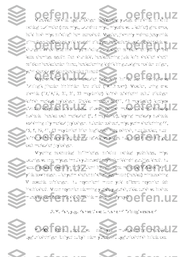 Murakkab   ravishda   uyg’unlashgan   harakatning   yuzaga   chiqishida   po’stloq
ostidagi tuzilmalar (orqa miya, uzunchoq miya, miyacha va u kabilar) gina emas,
balki bosh miya po’stlog’i ham qatnashadi. Masalan, jismoniy mehnat jarayonida
qilinadigan harakatlarni yoki sportchi qiladigan harakatlarni uyg’unlashtirishda va
shunga   o’xshashlarda   bosh   miya   po’stlog’ining   shartli   reflektor   faoliyati   ayniqsa
katta   ahamitga   egadir.   Gap   shundaki,   harakatlarning   juda   ko’p   shakllari   shartli
reflektor harakatlardan iborat, harakatlarning kichik bir guruxigina nasldan qolgan,
ya’ni shartsiz reflektor harakatdan iboratdir.
Miya   po‘stlog‘ida   asab   markazlari   juda   ko‘p   bo‘lib,   ular   morfologik   va
fiziologik   jihatdan   bir-biridan   farq   qiladi   (18 .1.3 -rasm).   Masalan,   uning   ensa
qismida   (17,18,19,   20,   21,   22   maydonlar)   ko‘rish   ta’sirlarini   qabul   qiladigan
ko‘rish   markazi   joylashgan.   Chakka   mintaqasida   (41,   42   maydonlar)   kortiyev
a’zodan   kelayotgan   ta’sirni   qabul   qiluvchi   eshitish   markazi,   oldingi   markaziy
pushtada     harakat   asab   markazlari   (4,   6   maydonlar),   keyingi   markaziy   pushtada
sezishning oliy markazi joylashgan. Bulardan tashqari, miya yarim sharlarining 44,
45,   6,   39,   41,   42   maydonlari   bilan   bog‘langan   nutq-eshitish,   nutq-harakat,   nutq-
ko‘rish   va   boshqa   analizatorlarning   og‘zaki   va   yozma   nutq   bilan   bog‘liq   bo‘lgan
asab markazlari joylashgan.
Miyaning   pastroqdagi   bo‘limlariga   po‘stloq   ostidagi   yadrolarga,   miya
ustuniga va orqa miyaga impuls yuboruvchi neyronlar ikkinchi guruhiga kiradi. Bu
katta   piramidal   neyronlar   bo‘lib,   ularni   birinchi   marta   morfolog   V.A.Bes   1874–
yilda tasvir etgan. Ular yarim sharlar po‘stlog‘idagi motor (harakat) mintaqasining
V   qavatida   to‘plangan.   Bu   neyronlarni   motor   yoki   efferent   neyronlar   deb
hisoblashadi.   Motor   neyronlar   odamning  yurish,   yugurish,   tikka   turish   va   boshqa
murakkab harakatlarning shakllanishida muhim rol o‘ynaydi .
.2. Yurish, yugurish va tikka turushlarni fiziologik asoslari
YUrish .   Skelet,   tana   va   qo‘l-oyoq   mushaklarining   murakkab
uyg‘unlashtirilgan   faoliyati   tufayli   odam   yuradi.   Bu   uyg‘unlashtirish   bolada   asta- 