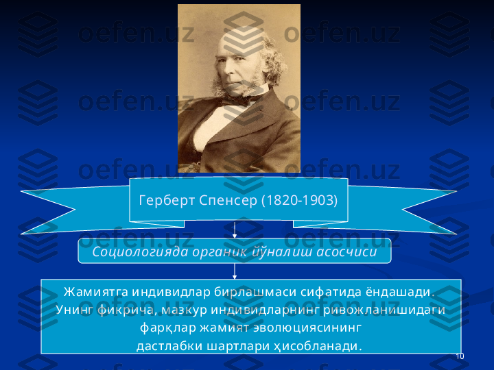 10Г ерберт Спенсер (1820-1903)
Социол огияда органик  йў нал иш асосчиси
Ж ам иятга и нди видлар бирлаш м аси сиф атида ёндаш ади . 
Унинг ф ик ри ча, м азк у р индивидларнинг ривож ланиш идаги
  ф арқ лар ж ам ият эволю циясининг 
дастлабк и  ш артлари ҳ исобланади .  