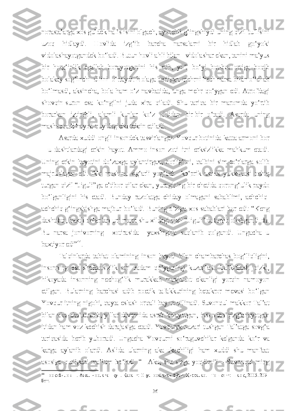 norastalarga xos guldek nafis isini olgach, ayanchli g ‘ ingshiydi uning qizil tuflisini
uzoq   hidlaydi.   Hovlida   izg ‘ ib   barcha   narsalarni   bir   hidlab   go ‘ yoki
vidolashayotgandek bo ‘ ladi.  Butun hovli ahli bilan   vidolashar ekan ,  tanini ma’yus
bir   horg ‘ inlik   egallab   borayotganini   his   etib,   yo ‘ l   bo ‘ yi   bot-bot   ortiga   boqib
bolakay sog ‘ inchi  dilini  o ‘ rta y di.  Bolaga berilgan mehrni hech narsa bilan o ‘ lchab
bo ‘ lmasdi,   aksincha,   bola   ham   o ‘ z   navbatida,   unga   mehr   qo ‘ ygan   edi.   Atrofdagi
shovqin-suron   esa   ko ‘ ngilni   juda   xira   qiladi.   S h u   tariqa   bir   maromda   yo ‘ rtib
borarkan   iztirobli,   alamli   kunlar   ko ‘ z   oldidan   bir-bir   o ‘ tadi.   A sarda   uning
mashaqqat li  hayoti quyidagi cha   talqin etiladi.  
Asarda   xuddi ongli insondek tasvirlangan Y o vqur botinida katta armoni bor
–   u   dashtlardagi   erkin   hayot.   Ammo   inson   zoti   itni   erksizlikka   mahkum   etadi.
Uning   e rkin   hayotini   do ‘ zaxga   aylantirgan,   borlig ‘ ini,   qalbi ni   sim   to ‘ rlar ga   solib
majruhlagan   edi.   Ikki   mashina   sig ‘ arli   yog ‘ och     ko ‘ prik   ustida   yukxonasi   ochiq
turgan qizil  “ Jiguli ” ga  e’tibor qilar ekan , yuragi ning bir chetida qorong ‘ ulik paydo
bo ‘ lganligini   his   etadi.   Bunday   razolatga   chiday   olmagani   sabablimi,   achchiq-
achchiq g ‘ ingshishga majbur bo ‘ ladi. Buning o ‘ ziga xos sabablari bor edi :   “K eng
dashtdan, baxtli onlardan uni mana shu xildagi qizil  “ Jiguli ” da   tortib olishgandi - da.
Bu   narsa   jonivorning     xotirasida     yaxshigina   saqlanib   qolgandi.   Ungacha   u
baxtiyor edi ” 44
.  
Talqinl arda   tabiat   olamining   inson   hayoti   bilan   chambarchas   bog ‘ liqligini,
insonning   esa   shafqatsizlik   sari   qadam   qo ‘ yganligi   kuzatiladi.   Ta’kidlash   joizki,
hikoyada   insonning   nechog ‘ lik   murakkab   mavjudot   ekanligi   yorqin   namoyon
etilgan.   Bularning   barchasi   adib   poetik   tafakkurining   betakror   mevasi   bo ‘ lgan
Y o vqur itning nigohi, qayta eslash orqali bayon qilinadi. Suvonqul makkor Tal’at
bilan aka-uka tutunib , yillar davomida   asrab kelayotgan,   insondan   qizg ‘ anayotgan
iti dan ham voz kechish darajasiga etadi . Y o vq u r ga nazari tushgan   Tal’atga   sovg ‘ a
tariqasida   berib   yuboradi.   Ungacha   Yovqurni   so ‘ raguvchilar   kelganda   ko ‘ r   va
karga   aylanib   olardi.   Aslida   ularning   aka-ukachiligi   ham   xuddi   shu   manfaat
asosiga   qurilgani   ma’lum   bo ‘ ladi .   “ –   Aka,   shu   sizga   yoqdimi?   –   Suvonqul   ming
4
  Норқобилов Н. Ажал  чорлаган  кун. Қаранг:  Овул оралаган  бўри. Қиссалар.  –Тошкент:  Шарқ, 2005. 209-
бет.
36 