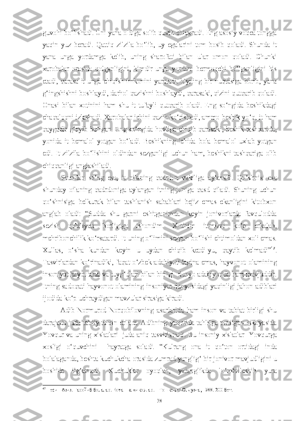 guvohi bo ‘ lishadi. Uni yana oldiga solib quvib chiqaradi. Eng asosiy voqea tongga
yaqin   yuz   beradi.   Qattiq   zilzila   bo ‘ lib,   uy   egalarini   tom   bosib   qoladi.   Shunda   it
yana   unga   yordamga   kelib,   uning   sharofati   bilan   ular   omon   qoladi.   Chunki
xarobalar   orasida   qolganligini,   kimdir   unga   yordam   bermoqchi   bo ‘ lganligini   his
etadi,  qarasa   it   unga   chiqish   imkonini   yaratadi.   Uyning   bir   nuqtasiga   borib,   yana
g ‘ ingshishni boshlaydi, darhol qazishni boshlaydi, qarasaki, qizini qutqarib qoladi.
Onasi   bilan   xotinini   ham   shu   it   tufayli   qutqarib   oladi.   Eng   so ‘ ngida   beshikdagi
chaqaloqni izlashadi. Xarobalar ichini qazib ko ‘ rishadi, ammo beshik yo ‘ q, it ham
qaygadir g ‘ oyib bo ‘ lgan. Eng so ‘ ngida hovliga chiqib qarasaki, beshik tashqarida,
yonida   it   bemalol   yotgan   bo ‘ ladi.   Beshikning   ichida   bola   bemalol   uxlab   yotgan
edi.   It   zilzila   bo ‘ lishini   oldindan   sezganligi   uchun   ham,   beshikni   tashqariga   olib
chiqqanligi anglashiladi.
S h undan   so ‘ ng   esa,   it   oilaning   qadrdon   vakiliga   aylanadi.   Qo ‘ shnisi   esa
shunday   oilaning   qadrdoniga   aylangan   itning   joniga   qasd   qiladi.   Shuning   uchun
qo ‘ shnisiga   belkurak   bilan   tashlanish   sabablari   bejiz   emas   ekanligini   kitobxon
anglab   oladi:   “Sudda   shu   gapni   eshitganimdan   keyin   jonivorlarda   favqulodda
sezish   qobiliyati   borligiga   ishondim.   Xotinim   itimizni   ko ‘ p   erkalab,
mehribonchilik ko ‘ rsatardi. It uning o ‘ limini sezgan bo ‘ lishi ehtimoldan xoli emas.
Xullas,   o ‘ sha   kundan   keyin   u   uydan   chiqib   ketdi-yu,   qaytib   kelmadi” 47
.
Tasvirlardan  ko ‘ rinadiki,  faqat  o ‘ zbek  adabiyotidagina emas,   hayvonot  olamining
insoniyat hayot tarzi va tuyg ‘ ulari bilan birligi  dunyo adabiyotida ham mavjuddir.
Itning sadoqati hayvonot olamining insoniyat dunyosidagi yaqinligi jahon adiblari
ijodida ko ‘ p uchraydigan mavzular sirasiga kiradi.
Adib   Normurod   Norqobilovning   a sar larida   ham   inson   va   tabiat   birligi   shu
darajada juda tabiiy talqin etiladi. Adibning yuqorida tahlilga tortilgan hikoyasida
Y o vqur va uning xislatlari   juda aniq   tasvirlanadi.   Bu insoniy   x islatlar   Y o vq u rga
xosligi   o ‘ quvchini     hayratga   sola di.   “Kulrang   ona   it   qo ‘ ton   ortidagi   inda
bolalaganda, beshta kuchukcha orasida zumrad yanglig ‘  bir jonivor mavjudligini u
boshida   ilg ‘ amadi.   Kuchuklar   oyoqlab,   yalanglikda   lo ‘ mbillashib   yura
47
 Несин Азиз. Ғаройиб болалар. Роман ва ҳикоялар. – Тошкент: Юлдузча, 1988. 200-бет.
38 