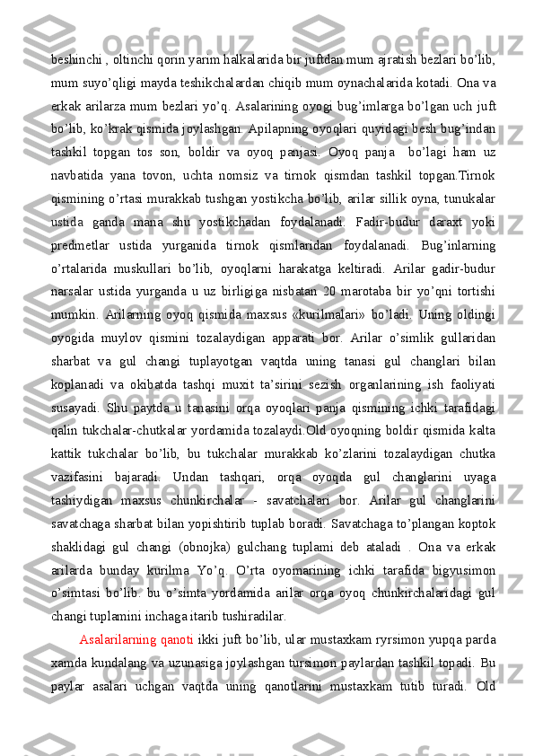 beshinchi  ,  oltinchi qorin yarim halkalarida bir   juftdan mum ajratish bezlari bo’lib,
mum suyo’qligi mayda   teshikchalardan chiqib mum oynachalarida kotadi. Ona va
erkak   arilar z a mum bezlari   yo’q.   Asalarining oyogi bug’imlarga bo’lgan uch   juft
bo’lib, ko’krak qismida joylashgan. Apilapning oyoqlari quyidagi besh bug’indan
tashkil   topgan   tos   son,   boldir   va   oyoq   panjasi.   Oyoq   panja     bo’lagi   ham   uz
navbatida   yana   tovon,   uchta   nomsiz   va   tirnok   qismdan   tashkil   topgan.Tirnok
qismining o’rtasi murakkab tushgan yostikcha bo’lib, arilar sillik oyna, tunukalar
ustida   ganda   mana   shu   yostikchadan   foydalanadi.   Fadir-budur   daraxt   yoki
predmetlar   ustida   yurganida   tirnok   qismlaridan   foydalanadi.   Bug’inlarning
o’rtalarida   muskullari   bo’lib,   oyoqlarni   harakatga   keltiradi.   Arilar   gadir-budur
narsalar   ustida   yurganda   u   uz   birligiga   nisbatan   20   marotaba   bir   yo’qni   tortishi
mumkin.   Arilarning   oyoq   qismida   maxsus   «kurilmalari»   bo’ladi.   Uning   oldingi
oyogida   muylov   qismini   tozalaydigan   apparati   bor.   Arilar   o’simlik   gullaridan
sharbat   va   gul   changi   tuplayotgan   vaqtda   uning   tanasi   gul   changlari   bilan
koplanadi   va   okibatda   tashqi   muxit   ta’sirini   sezish   organlarining   ish   faoliyati
susayadi.   Shu   paytda   u   tanasini   orqa   oyoqlari   panja   qismining   ichki   tarafidagi
qalin tukchalar-chutkalar yordamida tozalaydi.Old oyoqning boldir qismida kalta
kattik   tukchalar   bo’lib,   bu   tukchalar   murakkab   ko’zlarini   tozalaydigan   chutka
vazifasini   bajaradi.   Undan   tashqari,   orqa   oyoqda   gul   changlarini   uyaga
tashiydigan   maxsus   chunkirchalar   -   savatchalari   bor.   Arilar   gul   changlarini
savatchaga sharbat bilan yopishtirib tuplab   boradi. Savatchaga to’plangan koptok
shaklidagi   gul   changi   (obnojka)   gulchang   tuplami   deb   ataladi   .   Ona   va   erkak
arilarda   bunday   kurilma   Yo’q .   O’rta   oyomarining   ichki   tarafida   bigyusimon
o’simtasi   bo’lib.   bu   o’simta   yordamida   arilar   orqa   oyoq   chunkirchalaridagi   gul
changi tuplamini inchaga itarib   tushiradilar.
          Asalarilarning qanoti  ikki juft bo’lib, ular mustaxkam ryrsimon yupqa parda
xamda kundalang va uzunasiga joylashgan tursimon paylardan tashkil topadi. Bu
paylar   asalari   uchgan   vaqtda   uning   qanotlarini   mustaxkam   tutib   turadi.   Old 