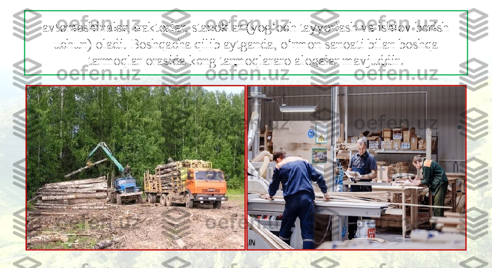 avtomashinalar, traktorlar, stanoklar (yog‘och tayyorlash va ishlov berish 
uchun) oladi. Boshqacha qilib aytganda, o‘rmon sanoati bilan boshqa 
tarmoqlar orasida keng tarmoqlararo aloqalar mavjuddir . 