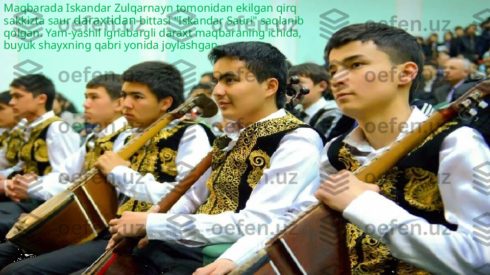 Maqbarada Iskandar Zulqarnayn tomonidan ekilgan qirq 
sakkizta saur  daraxtidan  bittasi "Iskandar Sauri" saqlanib 
qolgan. Yam-yashil ignabargli daraxt maqbaraning ichida, 
buyuk shayxning qabri yonida joylashgan. 