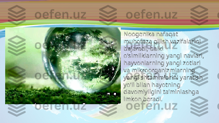 •
Noogenika nafaqat 
muhofaza qilish vazifalarini 
bajaradi, balki 
o‘simliklarning yangi navlari, 
hayvonlarning yangi zotlari 
va mikroorganizmlarning  
yangi shtammlarini yaratish 
yo‘li bilan hayotning 
davomiyligini ta’minlashga 
imkon beradi.  