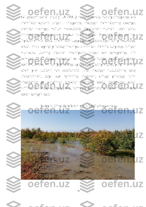 890 gektarni tashkil qiladi (1-JADVAL).Bu qo‘riqxonada haqiqiy to‘qayzorga xos
o‘simliklar   saqlanib   qolgan.   To‘qayzorda   o‘sadigan   o‘simliklarning   aksariyat
qismidan   insoniyat   ma’lum   maqsadlarda   foydalanishi   mumkin.   Lekin   tabiat
in’omlarining   zaxirasi   ham   bir   kun   borib   tugaydi.   Shu   bois   undan   oqilona
foydalanishimiz   kerak.   O‘ simliklar   tugaydigan   va   tiklanadigan   tabiiy   resurslarga
kiradi.   Biroq   keyingi   yillardagi   insoniyat   tomonidan   o‘simlik   dunyosiga   b o‘ lgan
munosabat   ularning   tiklanish   imkoniyatini   borgan   sari   kamayishiga   olib
kelmoqda [22].   To‘qayzorlardagi   tol   va   teraklarning   haddan   ziyod   ko‘p,   rejasiz
kesilishi,   chorva   mollari   yaylovlariga   aylantirilishi,   tabiiy   ofatlar,   yong‘inlarning
ta’siri   yosh   tuplarni   ham   zararlantirdi.   Ular   o‘sadigan   hududlarning   keng
o‘zlashtirilishi,   daryo   suvi   rejimining   o‘zgarishi,   so‘nggi   yillardagi   iqlim
o‘zgarishlari   va   yong‘inlar   daraxtlar   arealining   keskin   qisqarishiga   sabab
bo‘’lmoqda.   Chakanda,   jiyda,   zirk,   na’matak   kabi   bebaho   dorivor   butalar   ham
keskin kamayib ketdi.
2-Rasm. O‘rta Zarafshon hududidagi to‘qayzorlar.
.            
15 