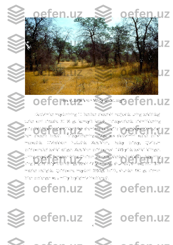 1
-Rasm. Zarafshon Milliy tabiat bog‘i.
            E kotizimlar   maydonining   10   barobar   qisqarishi   natijasida   uning   tarkibidagi
turlar   soni   o‘rtacha   30   %   ga   kamayib   ketadi.   To‘qayzorlarda   o‘simliklarning
yo‘qolishi bilan buo‘simliklar bilan chambarchas bog‘liq bo‘lgan hayvonlar turlari
ham   qisqarib   boradi.     To‘qayzorlarning   o‘ziga   xos   ekotizimini   saqlab   qolish
maqsadida   O‘zbekiston   hududida   Zarafshon,   Baday   to‘qay,   Qizilqum
qo‘riqxonalari tashkil etilgan. Zarafshon qo‘riqxonasi  1975 yilda tashkil kilingan.
Uning   maydoni   Samarqandning   Cho‘pon   ota   tepaliklardan   boshlanib,   daryoning
o‘ng qirg‘oq bo‘yi olab oqimga qarshi 47 kilometrga chuziladi, eni esa, 300-1500
metrlar   oraligida.   Qo‘riqxona   maydoni   2352ga   bo‘lib,   shundan   680   ga   o‘rmon
bilan qoplangan  va u milliy boyligimiz hisoblanadi.
                  
                                                     
4 