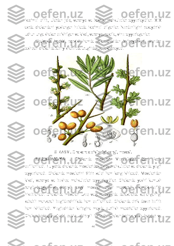 iste mol   qilib,   ulardan   jele,   varenye   va   boshqa   mahsulotlar   tayyorlaydilar.   XIXʼ
asrda   chakandani   yaxlangan   holatda   iste mol   qilganlar.   Nordonligini   pasaytirish	
ʼ
uchun unga shakar qo shilgan va kisel, varenye, pastila, vino tayyorlaganlar.	
ʻ
Chakanda   bachki,   parxish   hamda   qalamchasidan   ko paytiriladi.   Bundan	
ʻ
tashqari chakanda tabiiy sharoitda urug‘idan ham k o‘ payadi.
8-RASM. Chakanda o‘simligi bargi, mevasi.
3.3.2.AHAMIYATI .   Chakanda   mevalari   Mongoliyada   ham   keng
qo llaniladi. Bu yerda chakanda mevalaridan oziqa mahsulotlar va chakanda yog i	
ʻ ʻ
tayyorlanadi.   Chakanda   mevalarini   Sibir   xalqi   ham   keng   ishlatadi.   Mevalaridan
kisel,   varenye   va   boshqa   mahsulotlar   tayyorlaydilar.   Chakanda   yashil-kumush
rangli   barglari   va   chiroyli   rangli   mevalari   orqali   manzarali   o simlik   bo lib	
ʻ ʻ
hisoblanadi.   Chakanda   mevalari   uzoq   vaqt   mobaynida   daraxtlarda   saqlanganligi
sababli   manzarali   bog dorchilikda   ham   qo llaniladi.   Chakanda   tirik   devor   bo lib	
ʻ ʻ ʻ
ham   ishlatiladi.   Yog ochidan   ko pgina   mayda   qurilish   materiallar   tayyorlanadi.
ʻ ʻ
Chakandaning   yog ochi   qattiq,   chiroyli   bo ladi.   Chakandaning   yosh   barglar   va	
ʻ ʻ
44 