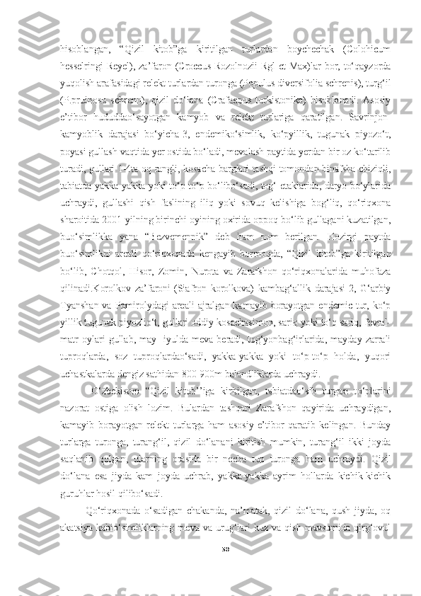 hisoblangan,   “Qizil   kitob”ga   kiritilgan   turlardan   boychechak   (Colohicum
hesselringi  Reyel), za’faron (Croccus Rozolnozii  Rgl  ct  Max)lar  bor, to‘qayzorda
yuqolish arafasidagi relekt turlardan turonga (Populus diversifolia schrenis), turg‘il
(P.pruinosu   schrenn),   qizil   do‘lana   (Crafaepus   turkistonika)   hisoblanadi.   Asosiy
e’tibor   hududdao‘sayotgan   kamyob   va   relekt   turlariga   qaratilgan.   Savrinjon-
kamyoblik   darajasi   bo‘yicha-3,   endemiko‘simlik,   ko‘pyillik,   tugunak   piyozo‘t,
poyasi gullash vaqtida yer ostida bo‘ladi, mevalash paytida yerdan bir oz ko‘tarilib
turadi, gullari 1-4ta oq rangli, kosacha barglari tashqi tomondan binafsha chiziqli,
tabiatda yakka-yakka yoki to‘p-to‘p bo‘libo‘sadi, tog‘ etaklarida, daryo bo‘ylarida
uchraydi,   gullashi   qish   faslining   iliq   yoki   sovuq   kelishiga   bog‘liq,   qo‘riqxona
sharoitida 2001-yilning birinchi oyining oxirida oppoq bo‘lib gullagani kuzatilgan,
buo‘simlikka   yana   “Bezvemennik”   deb   ham   nom   berilgan.   Hozirgi   paytda
buo‘simlikni   areali   qo‘riqxonada   kengayib   bormoqda,   “Qizil   kitob”ga   kiritilgan
bo‘lib,   Chotqol,   Hisor,   Zomin,   Nurota   va   Zarafshon   qo‘riqxonalarida   muhofaza
qilinadi.Korolkov   za’faroni-(Siafron   korolkova)   kambag‘allik   darajasi-2,   G‘arbiy
Tyanshan  va Pomirolydagi  areali  ajralgan kamayib  borayotgan endemic  tur, ko‘p
yillik tugunak piyozlio‘t, gullari oddiy kosachasimon, sariq yoki to‘q sariq, fevral-
matr   oylari   gullab,   may-   iyulda   meva   beradi,   tog‘yonbag‘irlarida,   mayday   zarrali
tuproqlarda,   soz   tuproqlardao‘sadi,   yakka-yakka   yoki   to‘p-to‘p   holda,   yuqori
uchastkalarda dengiz sathidan 800-900m balandliklarda uchraydi. 
  O‘zbekiston   “Qizil   kitob’’iga   kiritilgan,   tabiatdao‘sib   turgan   t o‘ plarini
nazorat   ostiga   olish   lozim.   Bulardan   tashqari   Zarafshon   qayirida   uchraydigan,
kamayib   borayotgan   relekt   turlarga   ham   asosiy   e’tibor   qaratib   kelingan.   Bunday
turlarga   turonga,   turang‘il,   qizil   do‘lanani   kiritish   mumkin,   turang‘il   ikki   joyda
saqlanib   qolgan,   ularning   orasida   bir   necha   tup   turonga   ham   uchraydi.   Qizil
do‘lana   esa   jiyda   kam   joyda   uchrab,   yakka-yakka   ayrim   hollarda   kichik-kichik
guruhlar hosil qilibo‘sadi. 
Qo‘riqxonada   o‘sadigan   chakanda,   na’matak,   qizil   do‘lana,   qush   jiyda,   oq
akatsiya   kabio‘simliklarning  meva   va  urug‘lari   kuz  va   qish   mavsumida   qirg‘ovul
50 