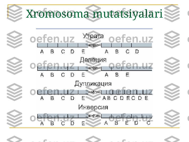 Xromosoma mutatsiyalari 
