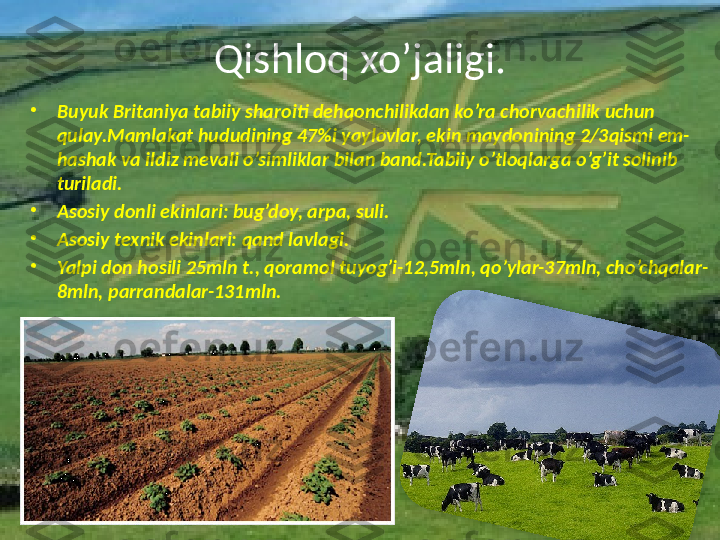 Qishloq xo’jaligi.
•
Buyuk Britaniya tabiiy sharoiti dehqonchilikdan ko’ra chorvachilik uchun 
qulay.Mamlakat hududining 47%i yaylovlar, ekin maydonining 2/3qismi em-
hashak va ildiz mevali o’simliklar bilan band.Tabiiy o’tloqlarga o’g’it solinib 
turiladi.
•
Asosiy donli ekinlari: bug’doy, arpa, suli.
•
Asosiy texnik ekinlari: qand lavlagi.
•
Yalpi don hosili 25mln t., qoramol tuyog’i-12,5mln, qo’ylar-37mln, cho’chqalar-
8mln, parrandalar-131mln.  