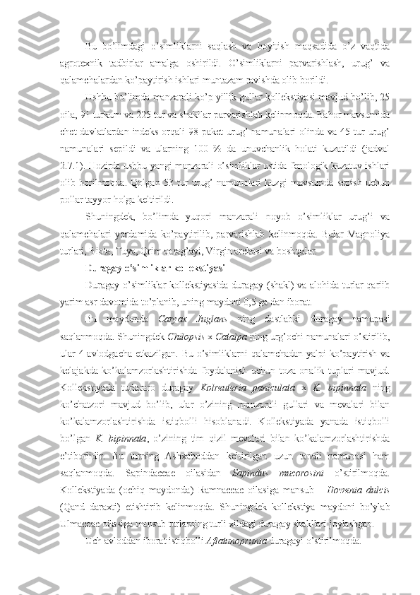 Bu   bo’limdagi   o’simliklarni   saqlash   va   boyitish   maqsadida   o’z   vaqtida
agrotexnik   tadbirlar   amalga   oshirildi.   O’simliklarni   parvarishlash,   urug’   va
qalamchalardan ko’paytirish ishlari muntazam ravishda olib borildi.
Ushbu bo’limda manzarali ko’p yillik gullar kollekstiyasi mavjud bo’lib, 25
oila, 91 turkum va 225 tur va shakllar parvarishlab kelinmoqda. Bahor mavsumida
chet  davlatlardan  indeks   orqali  98  paket  urug’   namunalari  olinda  va   45  tur  urug’
namunalari   sepildi   va   ularning   100   %   da   unuvchanlik   holati   kuzatildi   (jadval
2.7.1). Hozirda ushbu yangi manzarali o’simliklar ustida fenologik kuzatuv ishlari
olib   borilmoqda.   Qolgan   53   tur   urug’   namunalari   kuzgi   mavsumda   sepish   uchun
pollar tayyor holga keltirildi.
Shuningdek,   bo’limda   yuqori   manzarali   noyob   o’simliklar   urug’i   va
qalamchalari   yordamida   ko’paytirilib,   parvarishlab   kelinmoqda.   Bular   Magnoliya
turlari, Biota, Tuya, Qrim qarag’ayi, Virgin archasi va boshqalar.
Duragay o’simliklar kollekstiyasi
Duragay o’simliklar kollekstiyasida duragay (shakl) va alohida turlar qariib
yarim asr davomida to’planib, uning maydoni 0,5 ga dan iborat.
Bu   maydonda   Caryax   Juglans   ning   dastlabki   duragay   namunasi
saqlanmoqda. Shuningdek  Chilopsis  x  Catalpa  ning urg’ochi namunalari o’stirilib,
ular 4 avlodgacha etkazilgan. Bu o’simliklarni qalamchadan yalpi ko’paytirish va
kelajakda   ko’kalamzorlashtirishda   foydalanish   uchun   toza   onalik   tuplari   mavjud.
Kollekstiyada   turlararo   duragay   Kolreuteria   paniculata   x   K.   bipinnata   ning
ko’chatzori   mavjud   bo’lib,   ular   o’zining   manzarali   gullari   va   mevalari   bilan
ko’kalamzorlashtirishda   istiqbolli   hisoblanadi.   Kollekstiyada   yanada   istiqbolli
bo’lgan   K.   bipinnata ,   o’zining   tim   qizil   mevalari   bilan   ko’kalamzorlashtirishda
e’tiborlidir.   Bu   turning   Ashxaboddan   keltirilgan   uzun   tanali   namunasi   ham
saqlanmoqda.   Sapindaceae   oilasidan   Sapindus   mucorosini   o’stirilmoqda.
Kollekstiyada   (ochiq   maydonda)   Ramnaceae   oilasiga   mansub   -   Howenia   dulcis
(Qand   daraxti)   etishtirib   kelinmoqda.   Shuningdek   kollekstiya   maydoni   bo’ylab
Ulmaceae oilasiga mansub turlarning turli xildagi duragay shakllari joylashgan.
Uch avloddan iborat istiqbolli  Aflatunoprunia  duragayi o’stirilmoqda.  