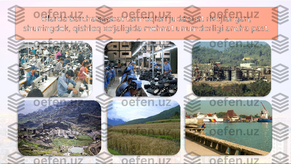 Ularda barcha sanoat tarmoqlari juda sust rivojlangan, 
shuningdek, qishloq xo‘jaligida mehnat unumdorligi ancha past.         